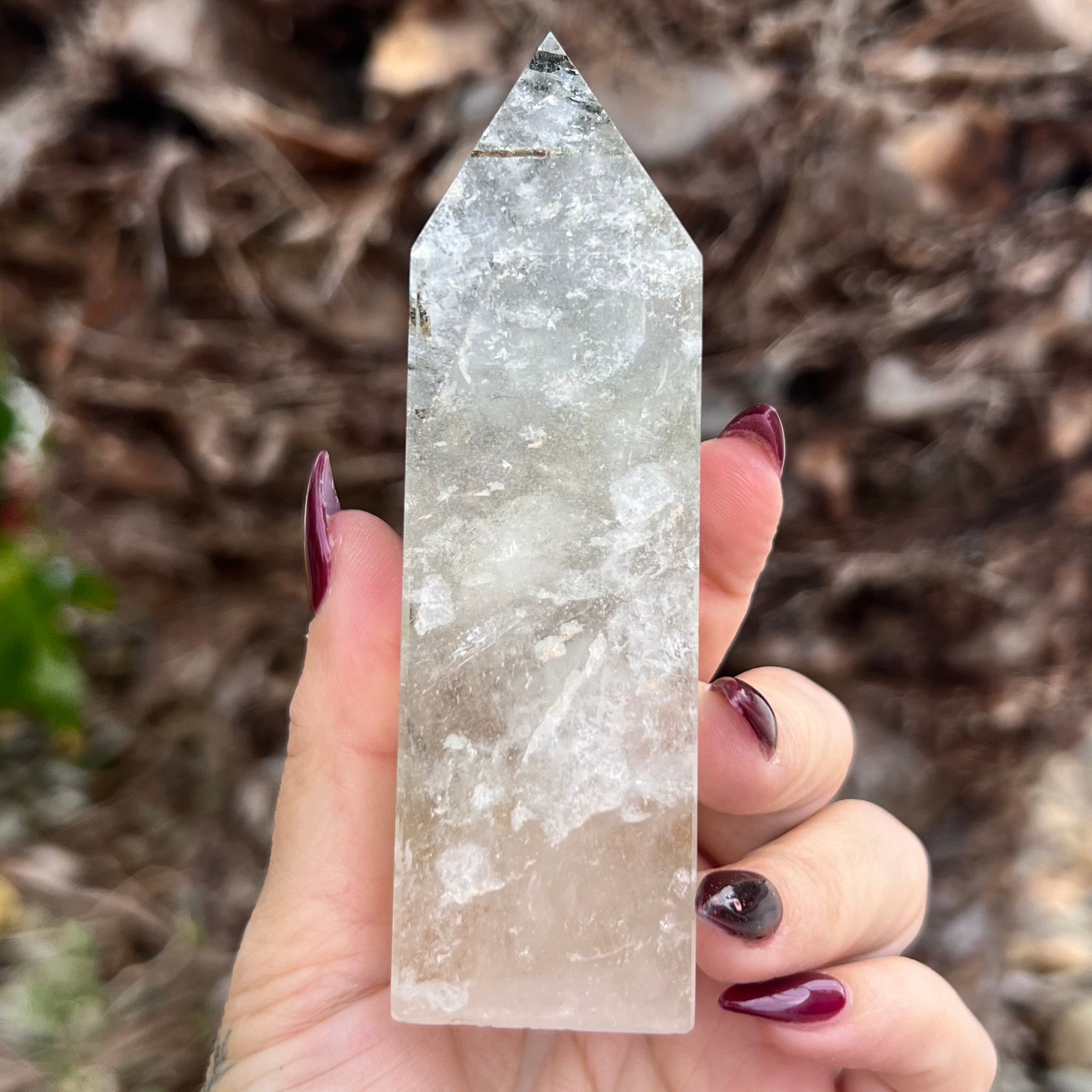 Black Tourmaline in Clear Protective Generator Quartz Tower