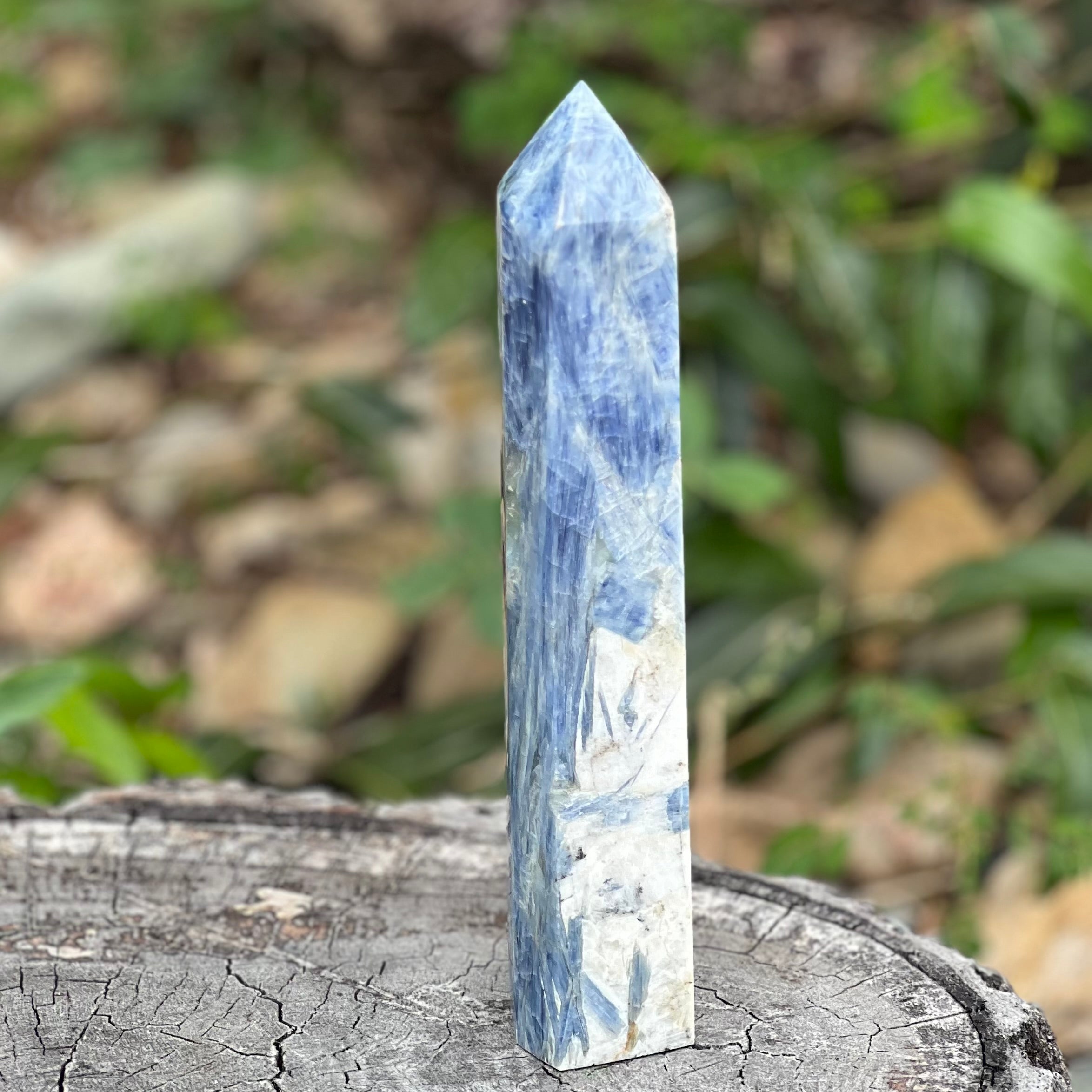 Blue Kyanite in Quartz Tower with Wing Inclusion