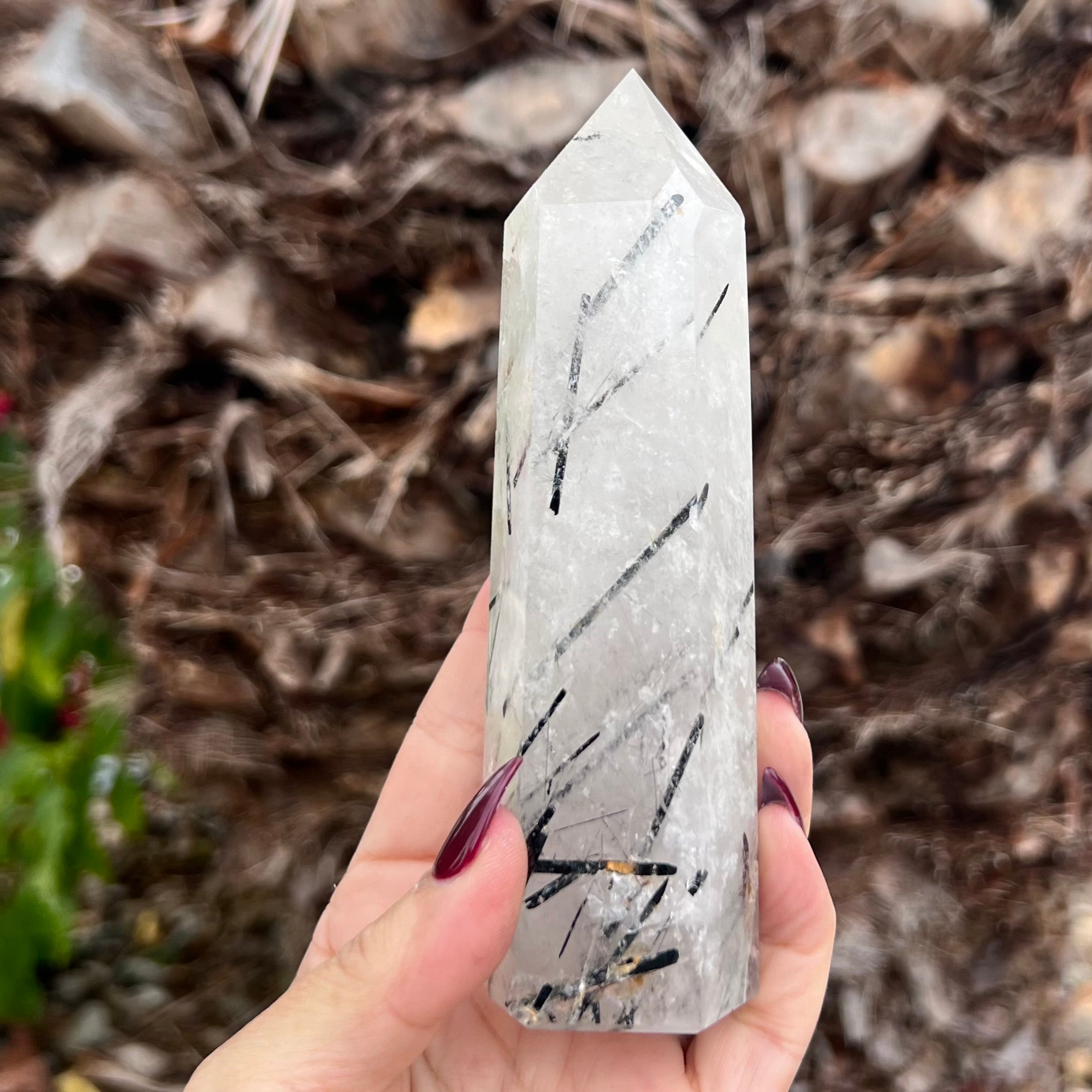 Black Tourmaline in Clear Protective Generator Quartz Tower