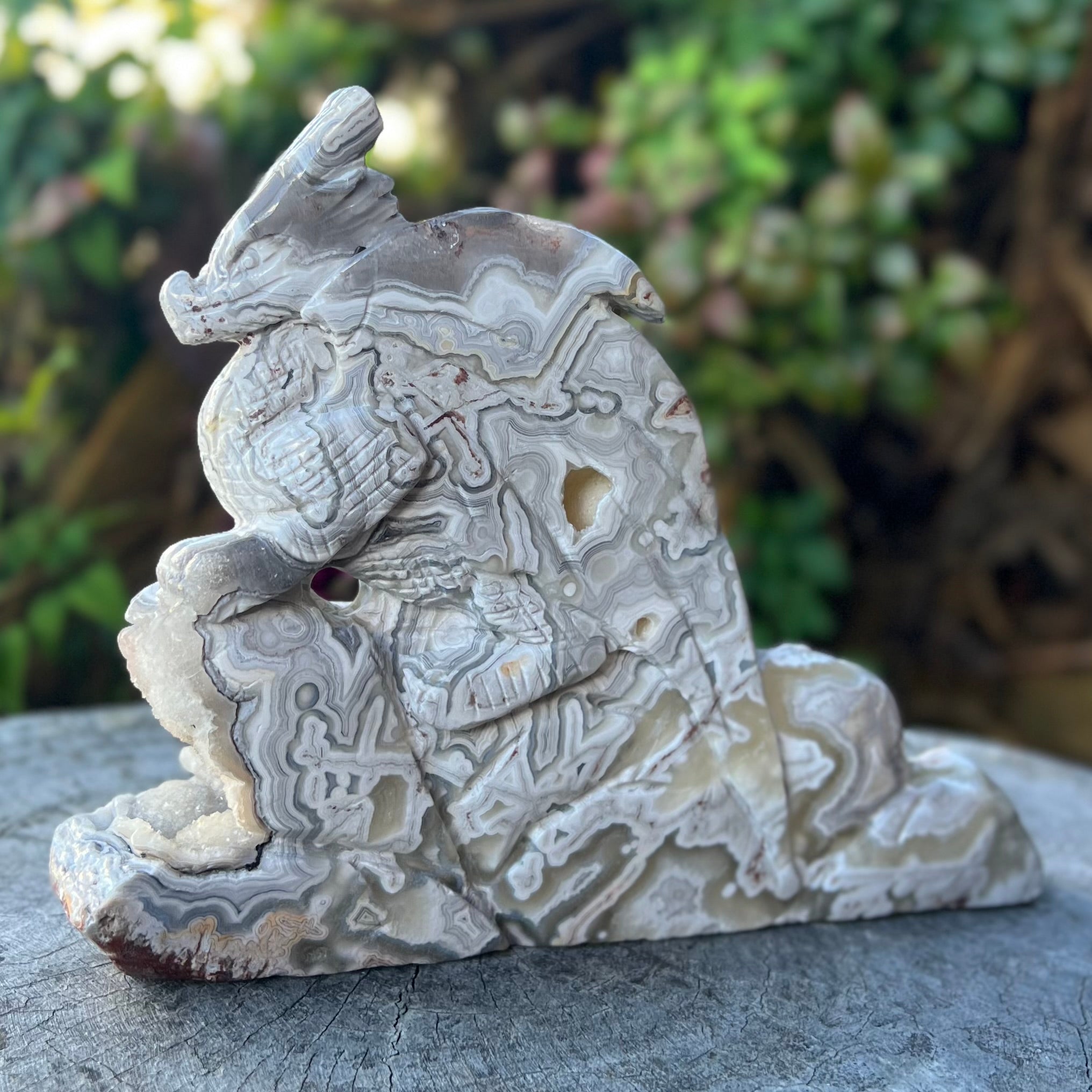 Crazy Lace Agate Dragon Carving