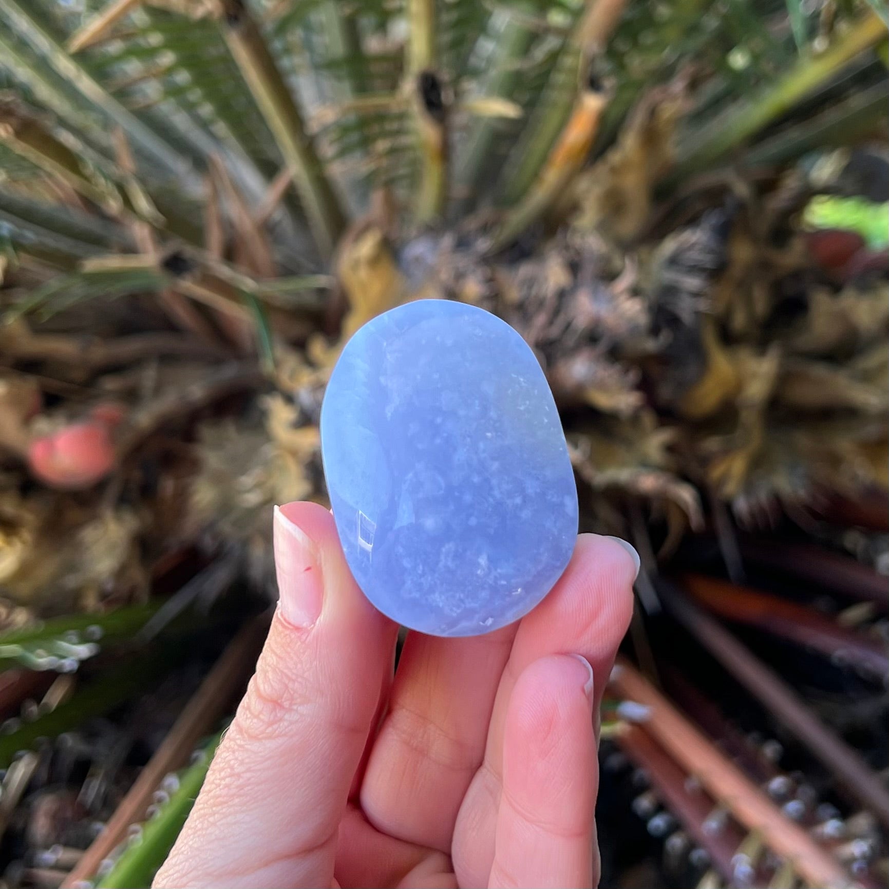 Blue Lace Agate ~ Specialty Boxed Crystal