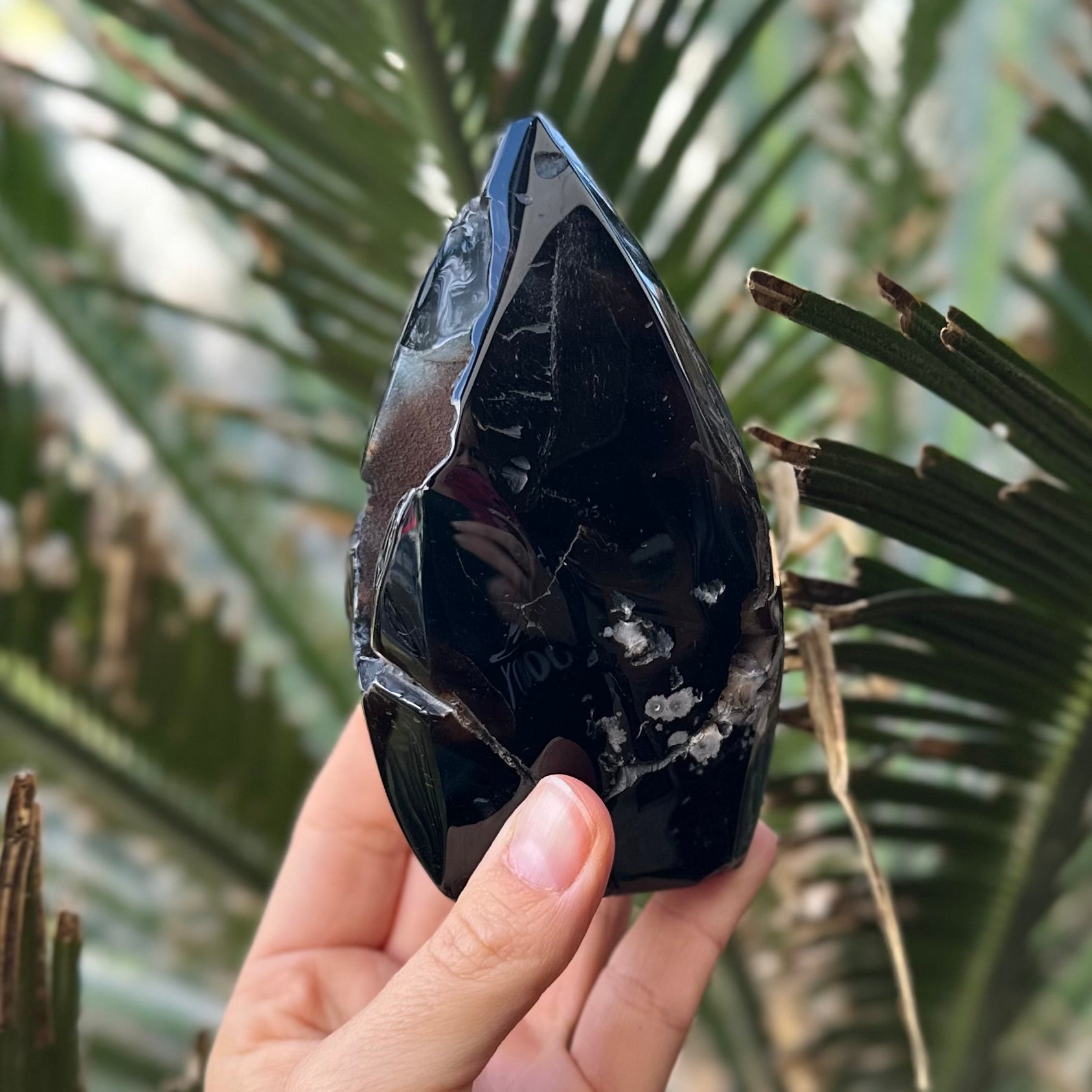 Black Flower Agate Carving