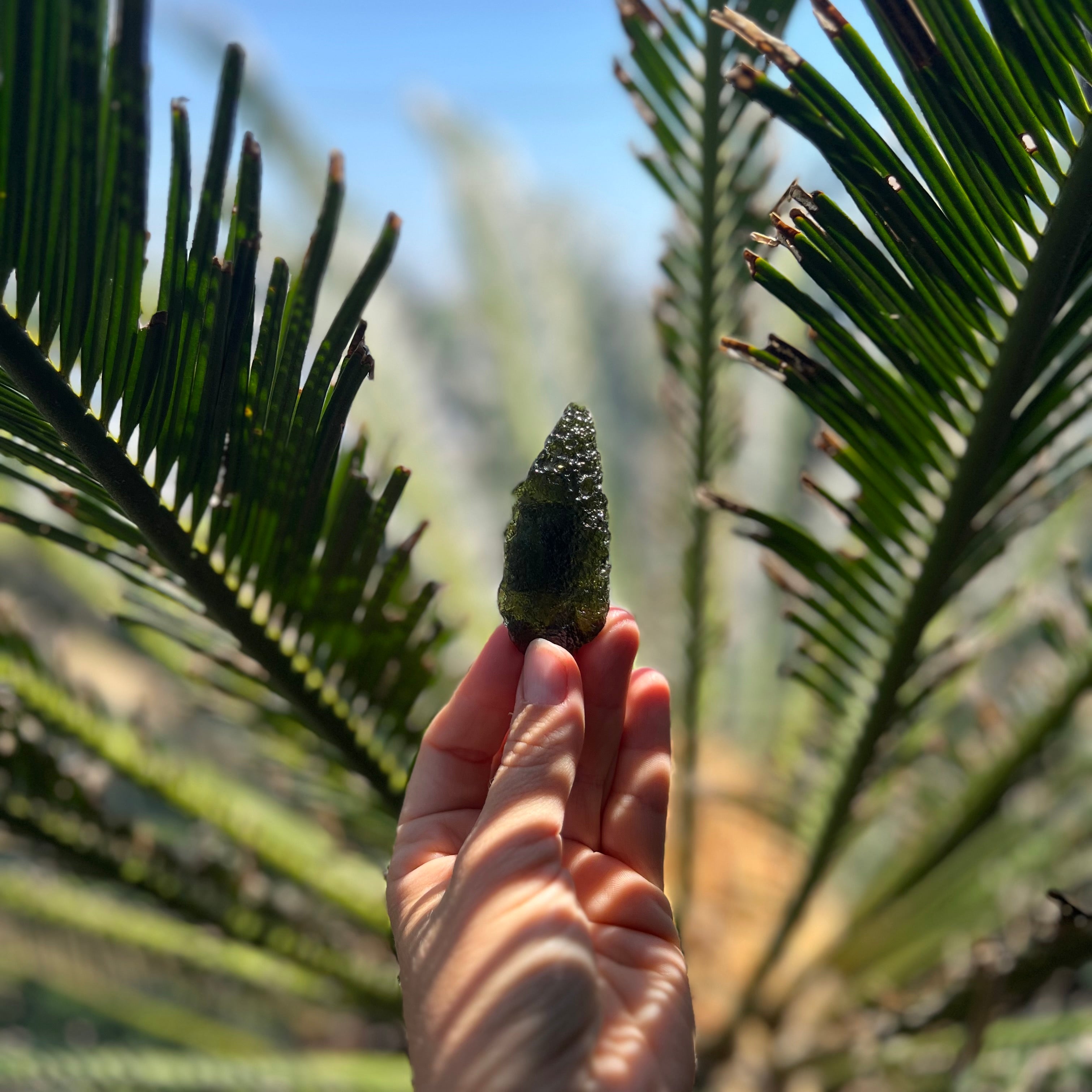 Raw Moldavite Specimen ~ RARE