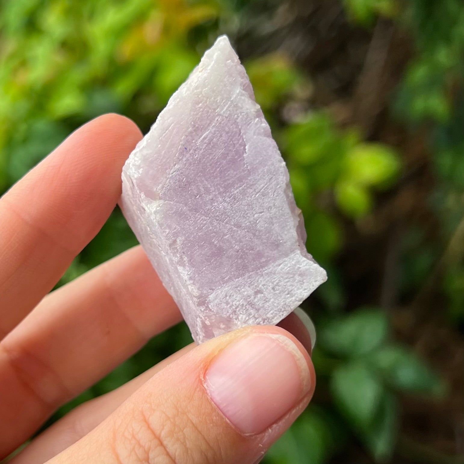 Kunzite ~ Specialty Crystal