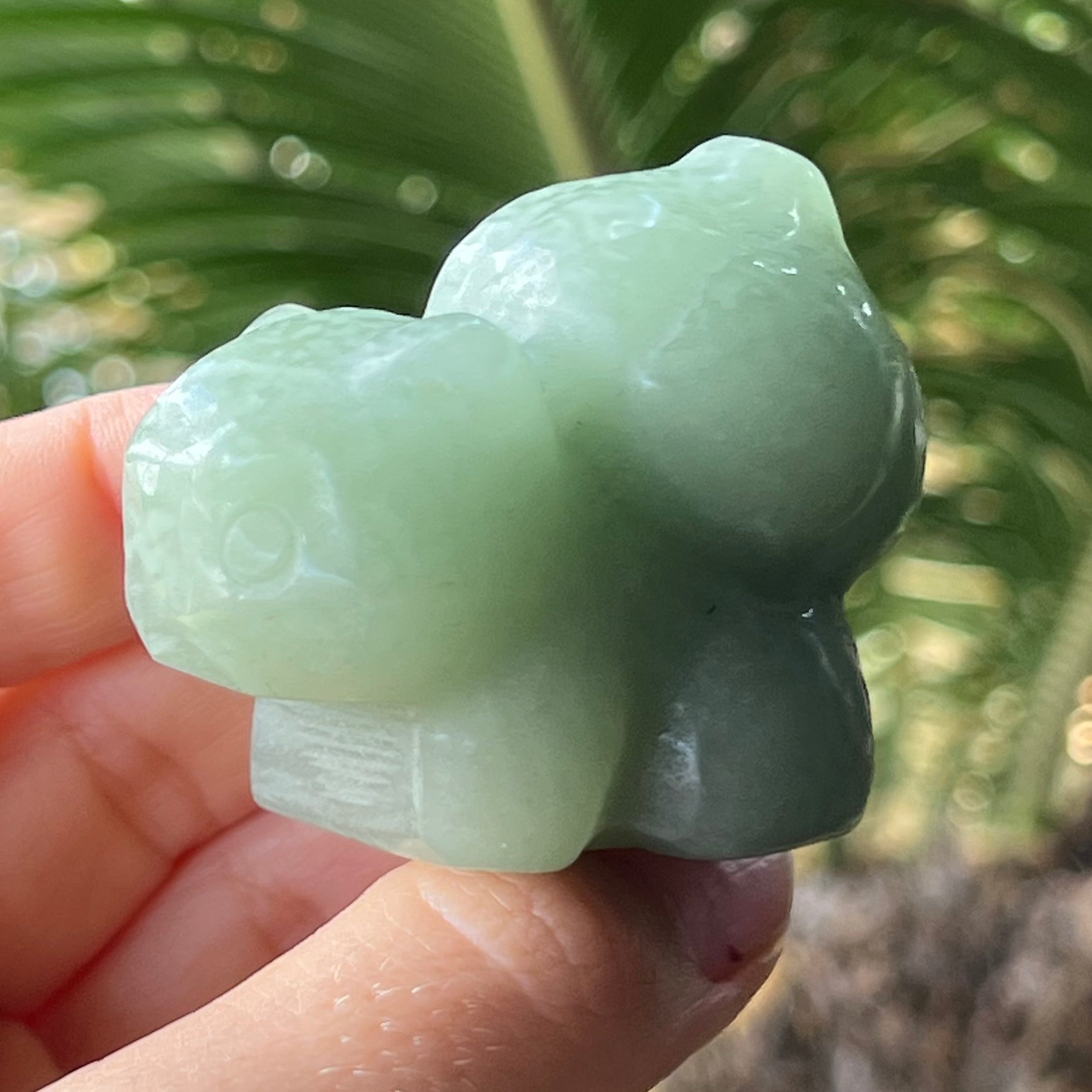 Assorted Pokémon Crystal Set