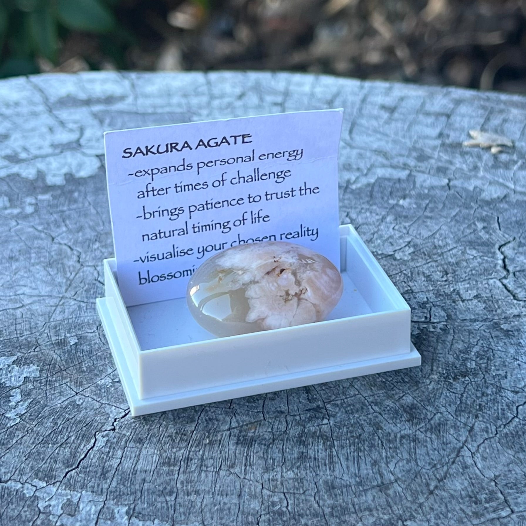 Sakura Agate ~ Specialty Boxed Crystal