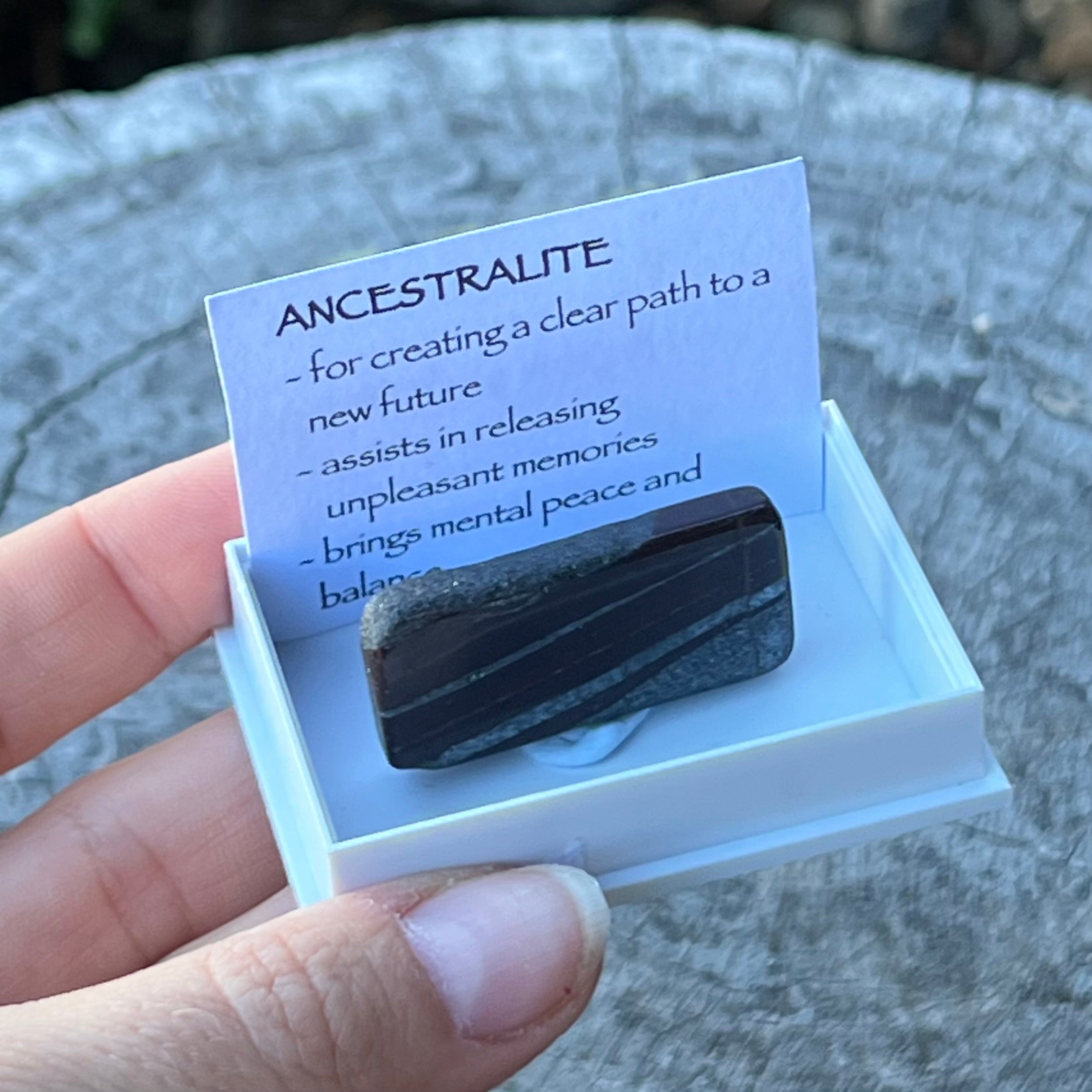 Ancestralite ~ Specialty Boxed Crystal