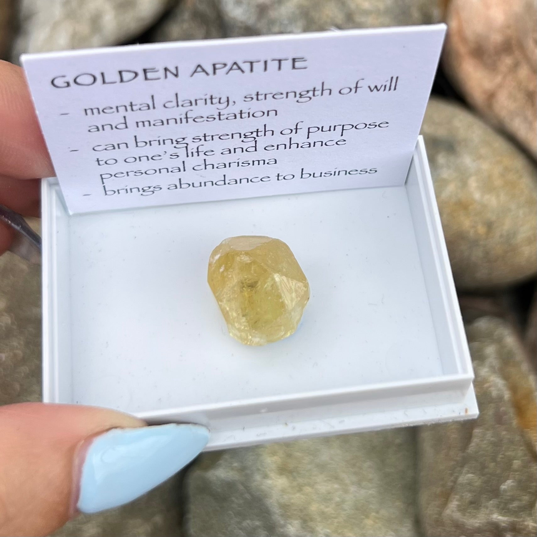 Golden Apatite ~ Specialty Boxed Crystal