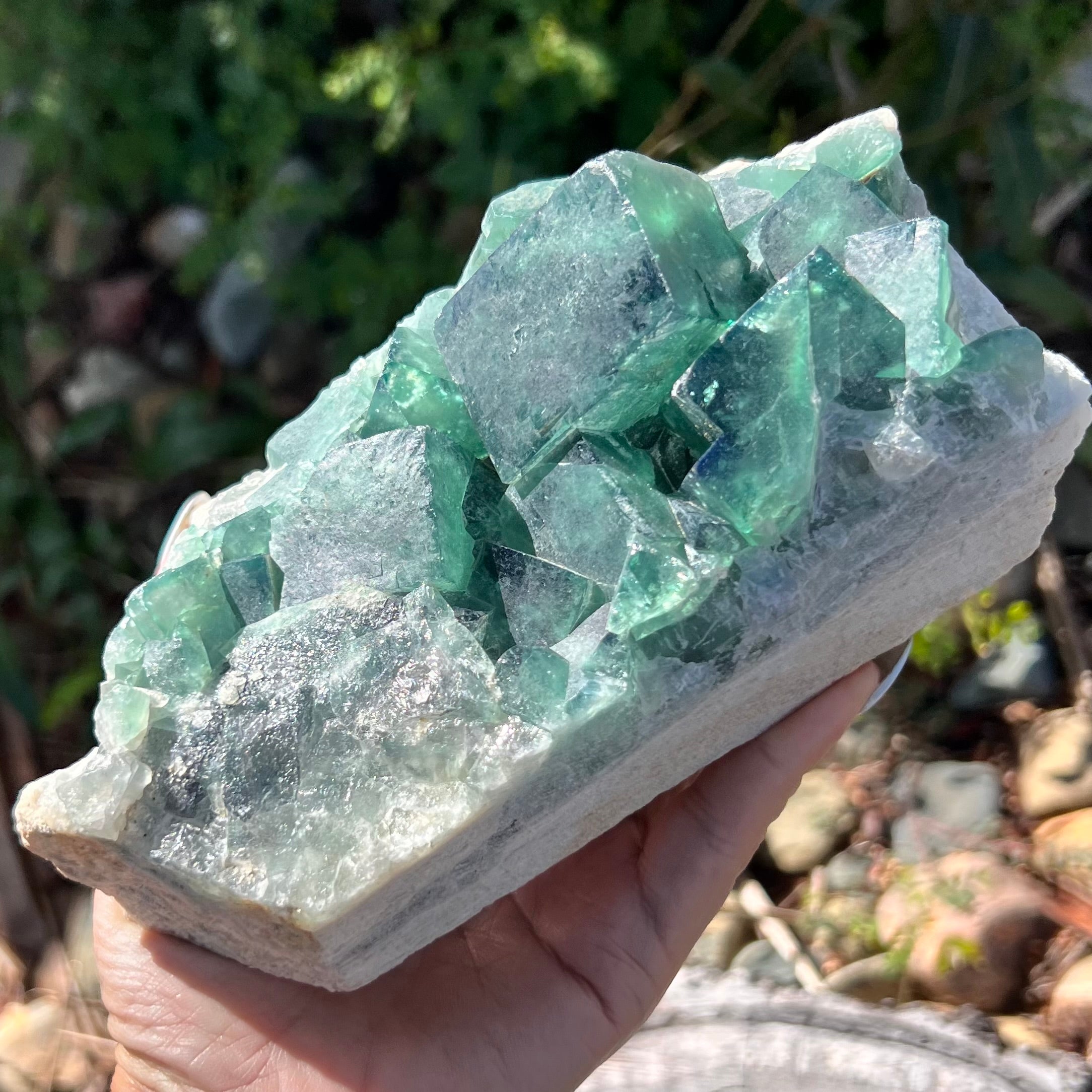 Raw Green Fluorite on Matrix