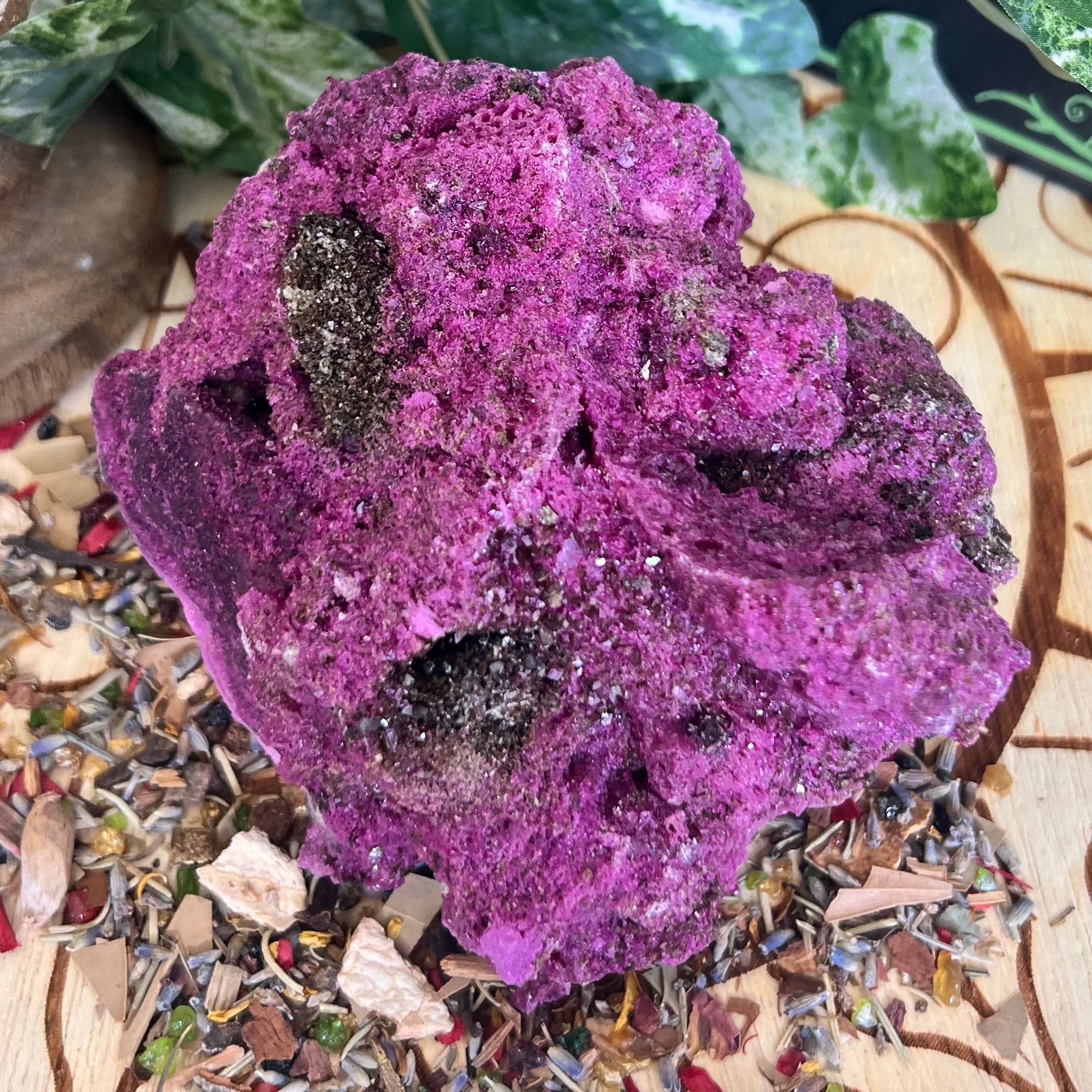 Glorious Ruby with Pyrite Specimen