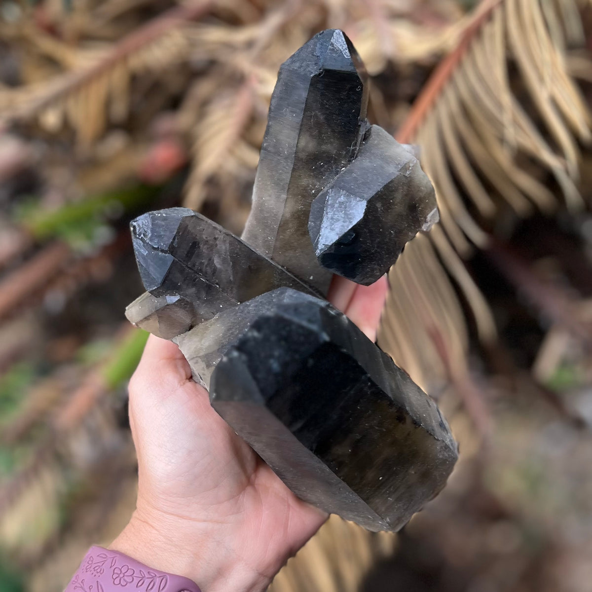Multi-Point Smoky Quartz Formation Cluster