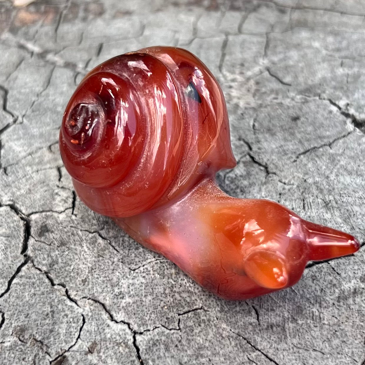 Carnelian ~ Snail of Courage