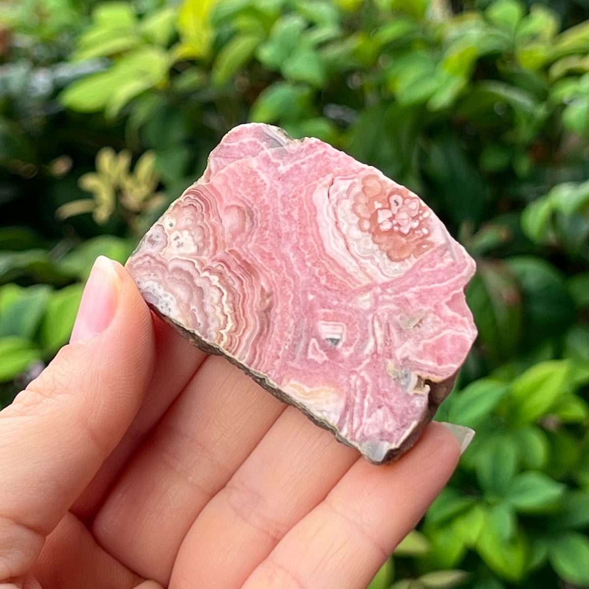 Rhodochrosite ~ Specialty Boxed Crystal (3)