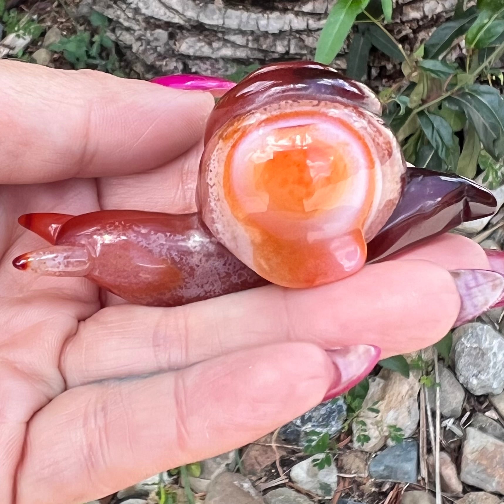 Carnelian ~ Snail of Courage