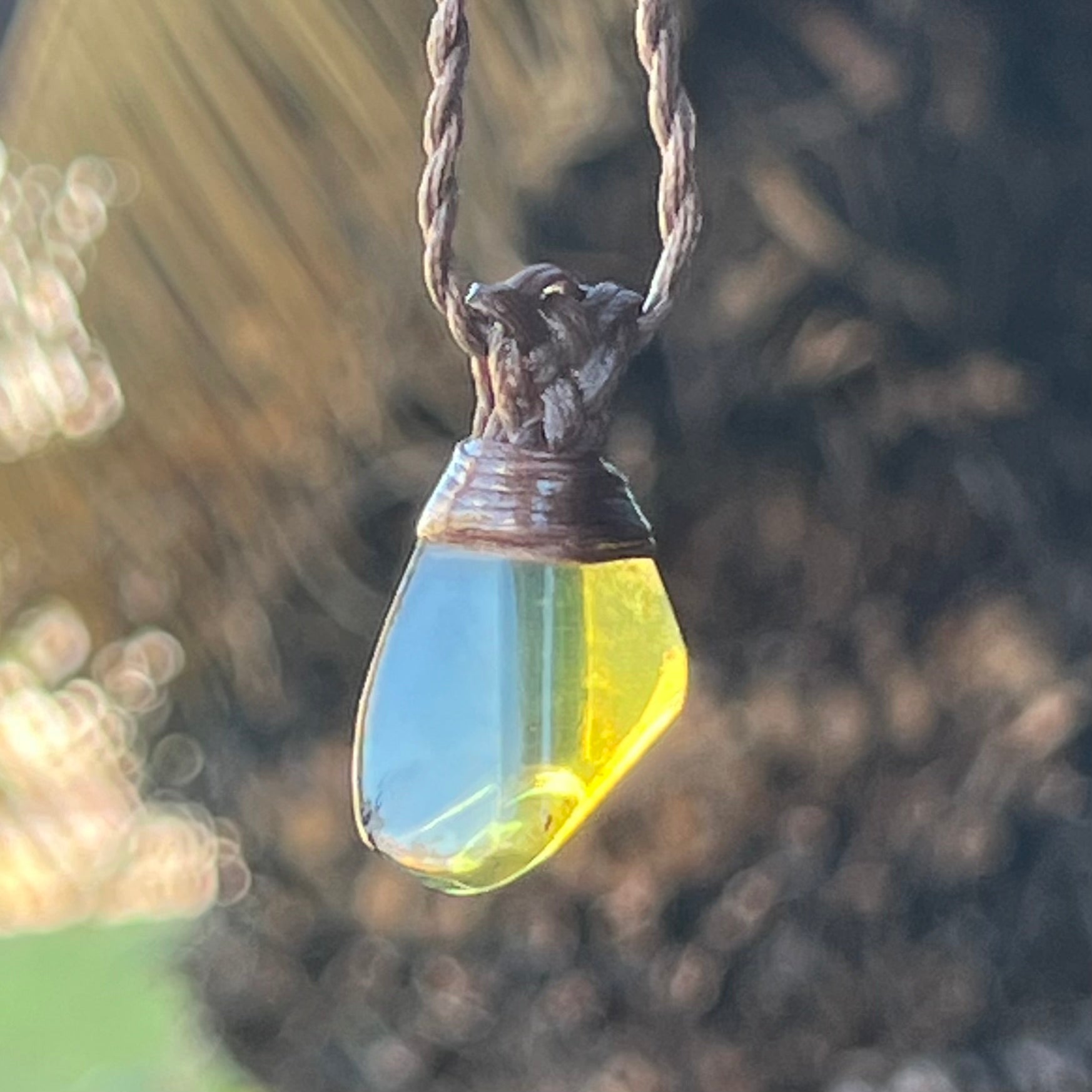 Muse Medicine - Amber ~ Talisman