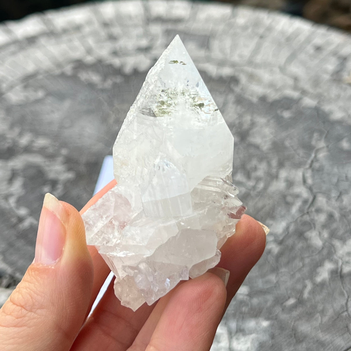 Appophylite Cluster ~ Specialty Boxed Crystal