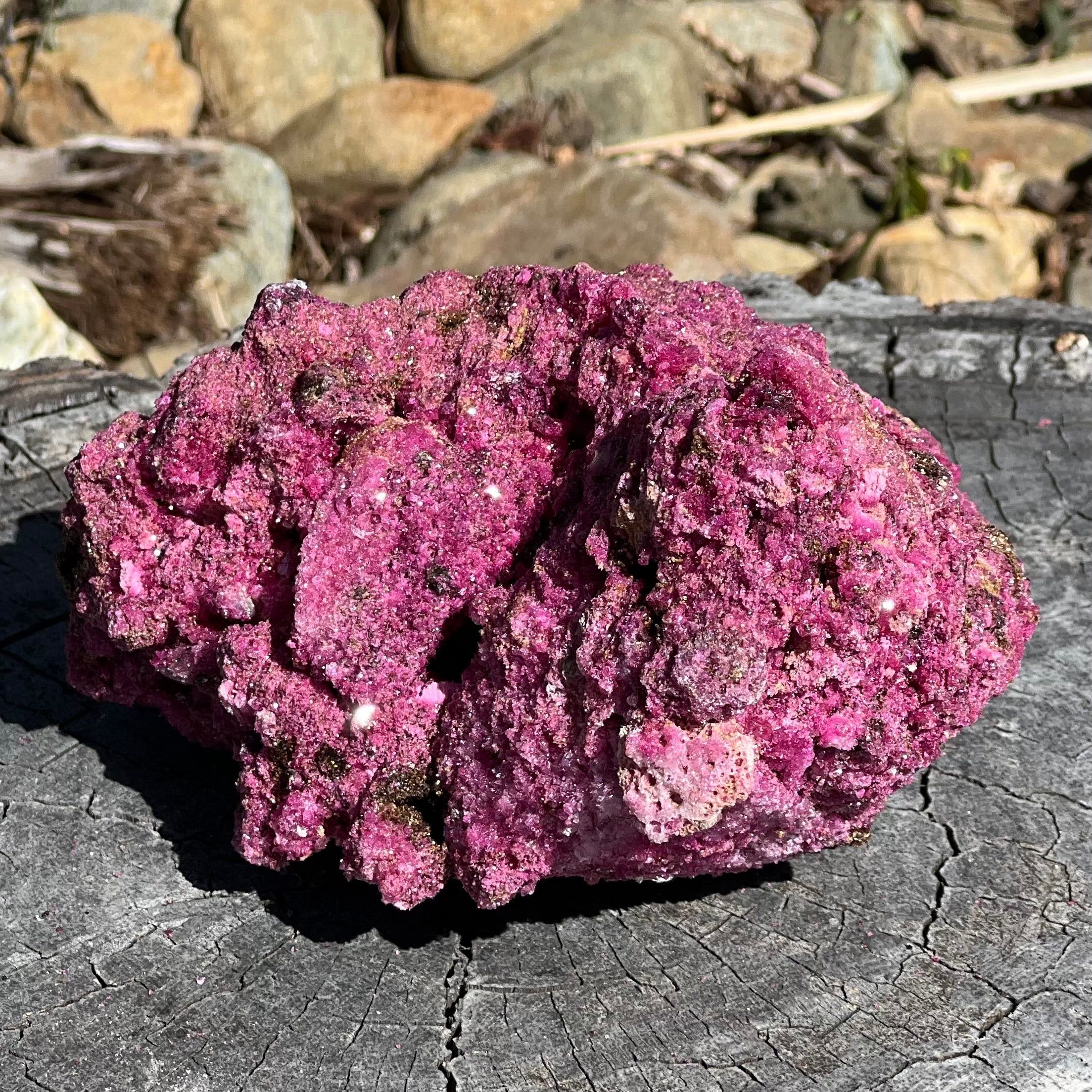 Glorious Ruby with Pyrite Specimen