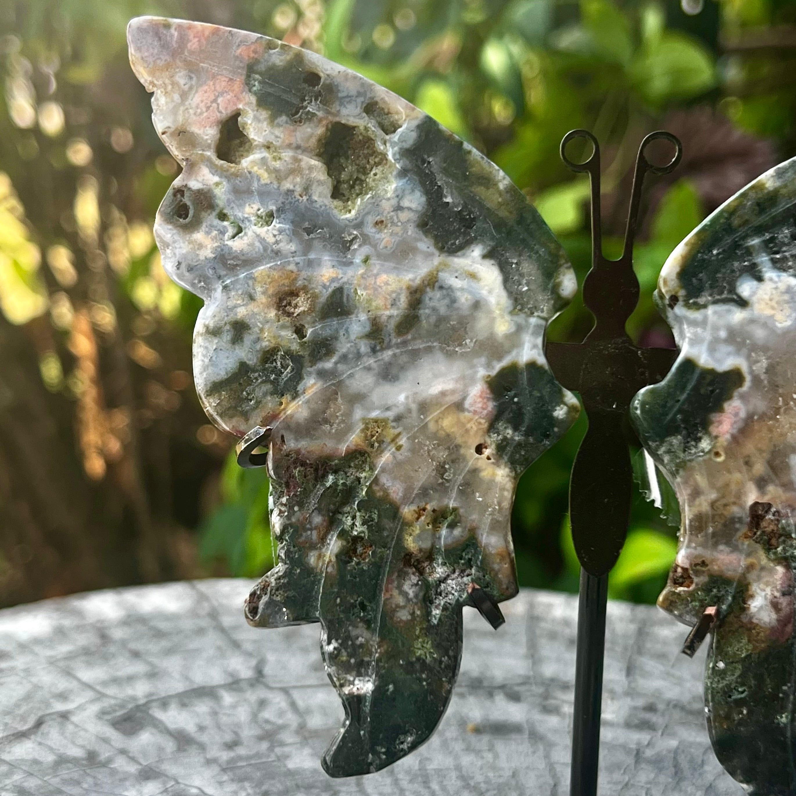 Moss Agate Butterfly on Stand
