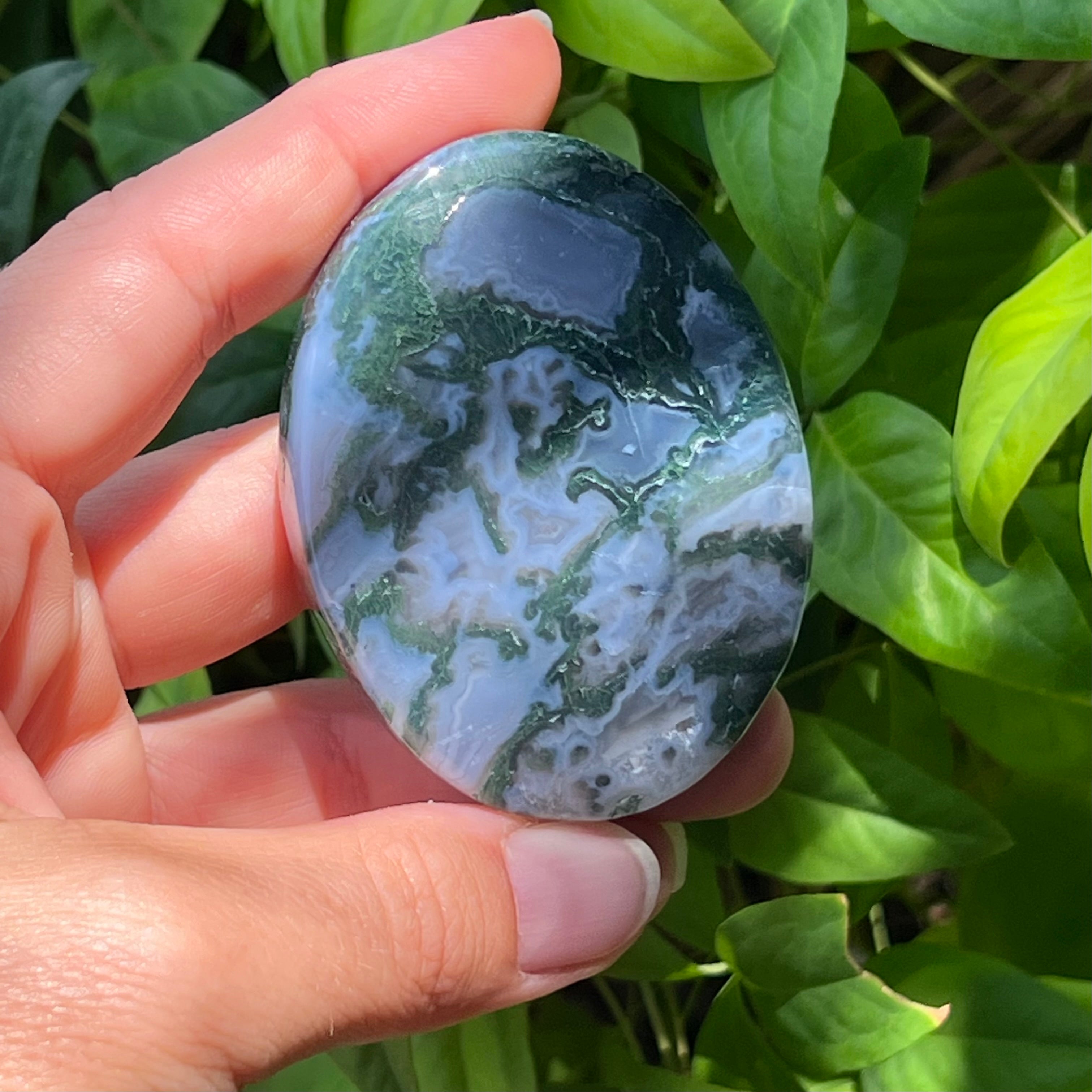 Moss Agate Palm Stone ~ 2