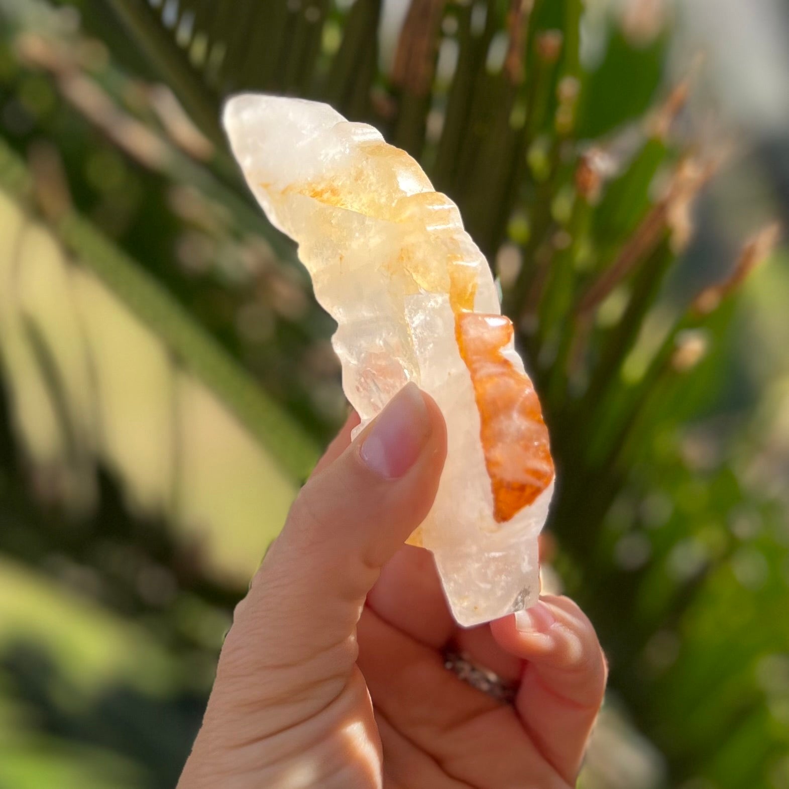 Feather of Divine Healing ~ Golden Healer
