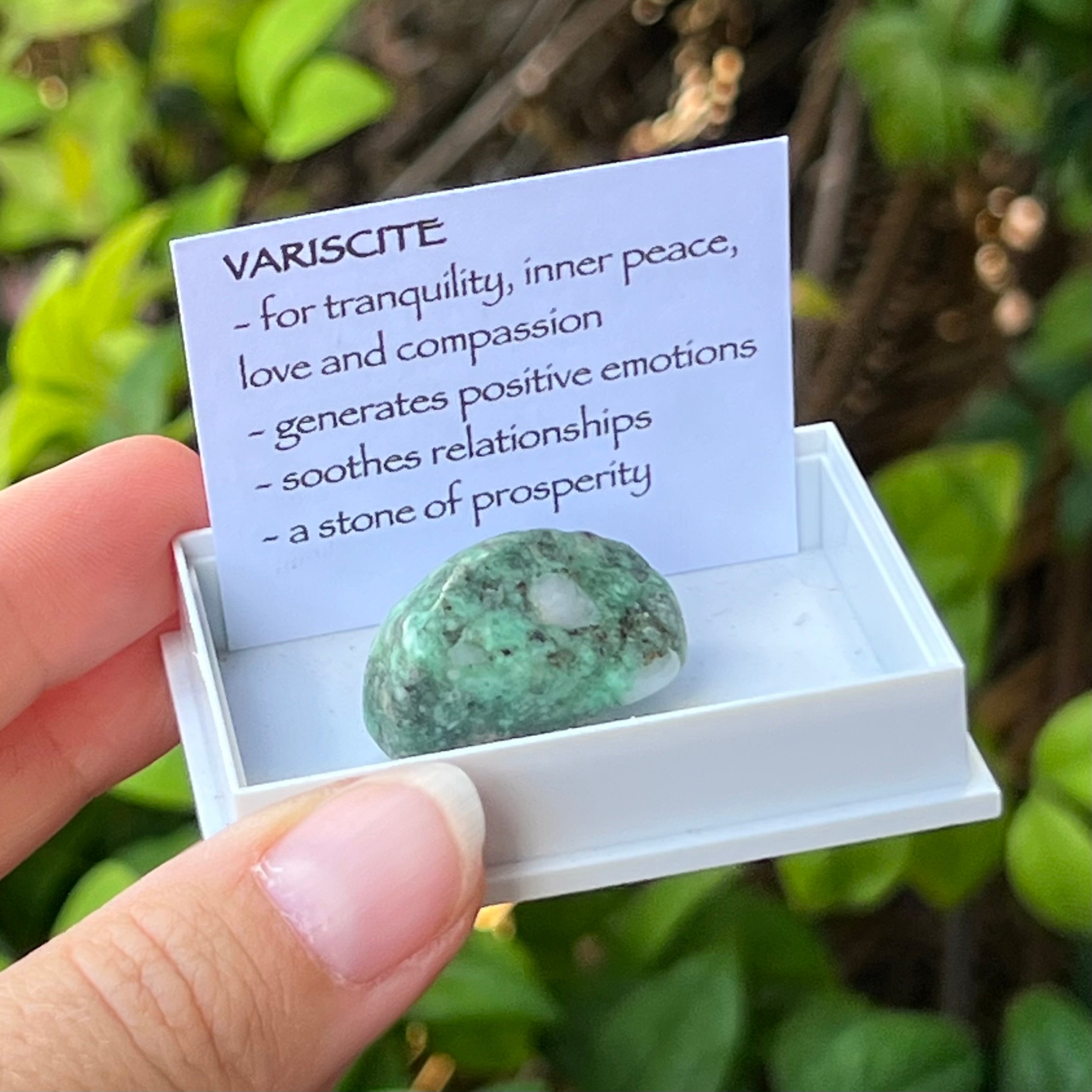 Variscite ~ Specialty Boxed Crystal