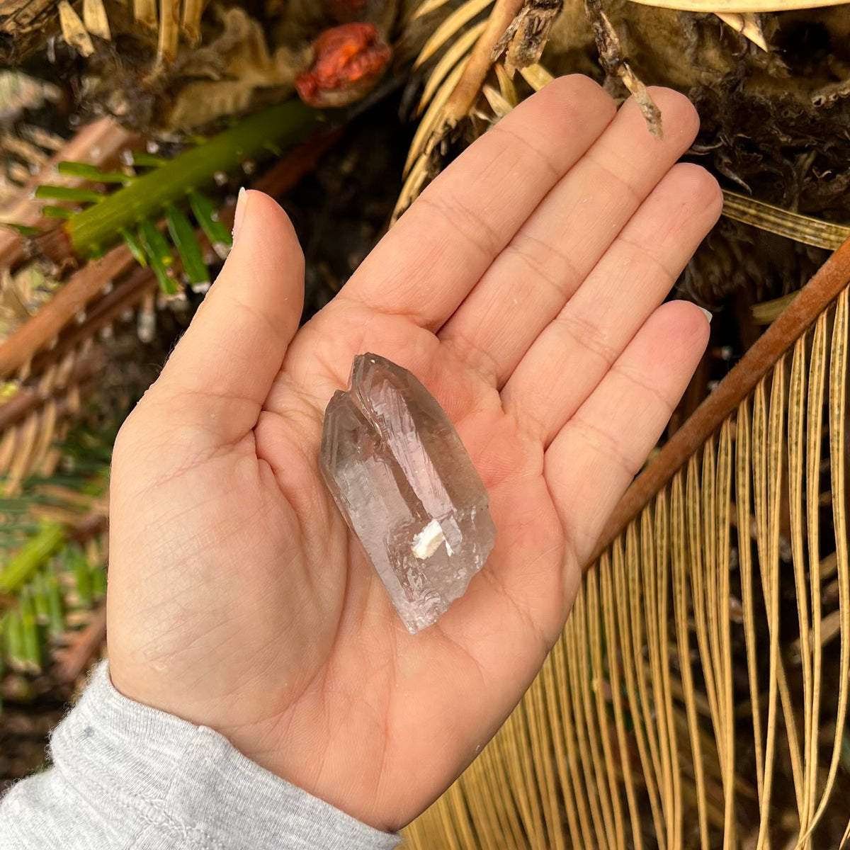 Smokey Quartz Twin Point ~ Specialty Boxed Crystal