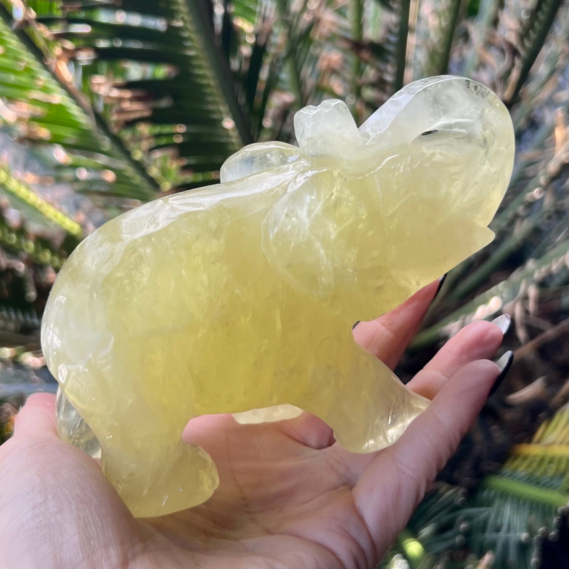 Lucky Elephant ~ Citrine
