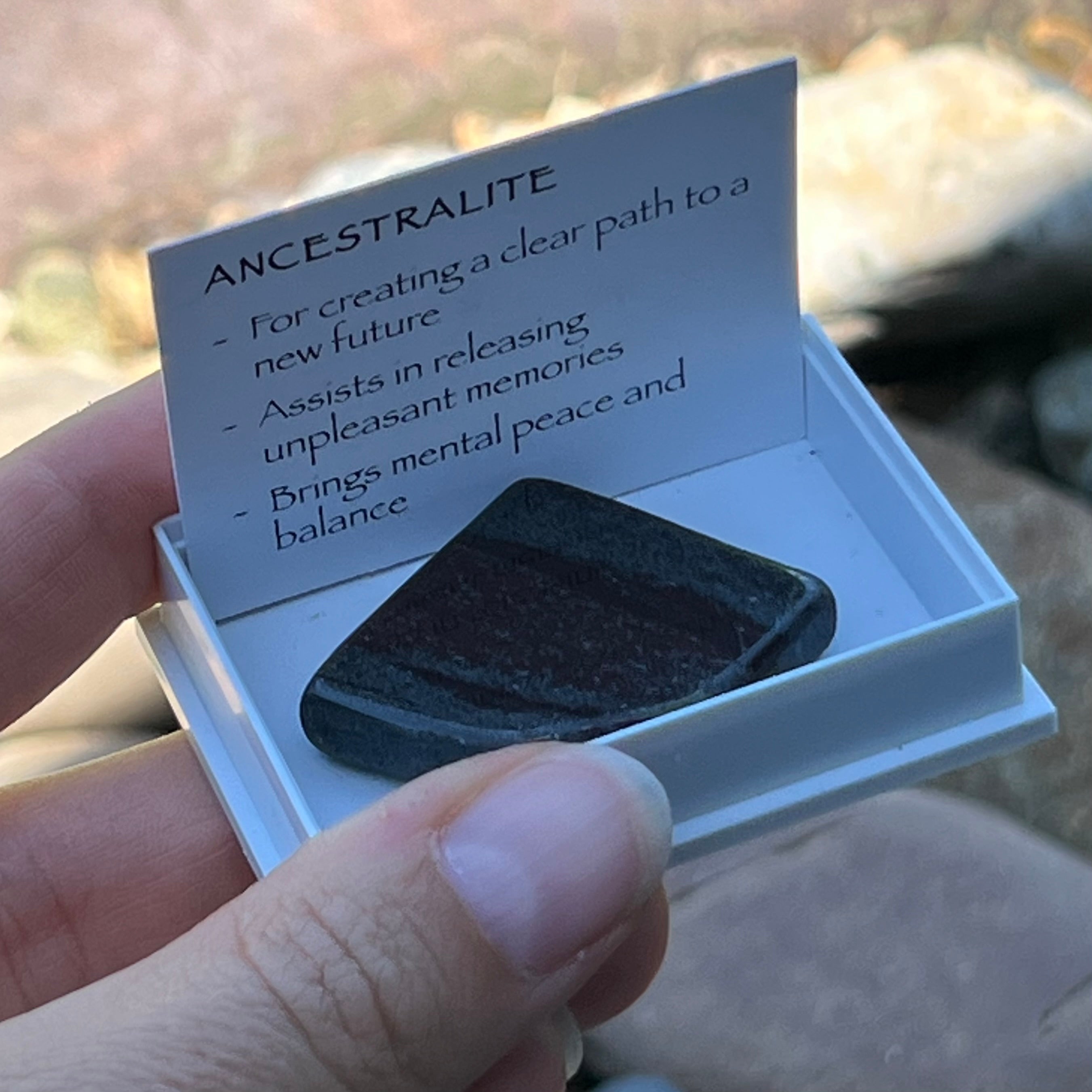 Ancestralite ~ Specialty Boxed Crystal