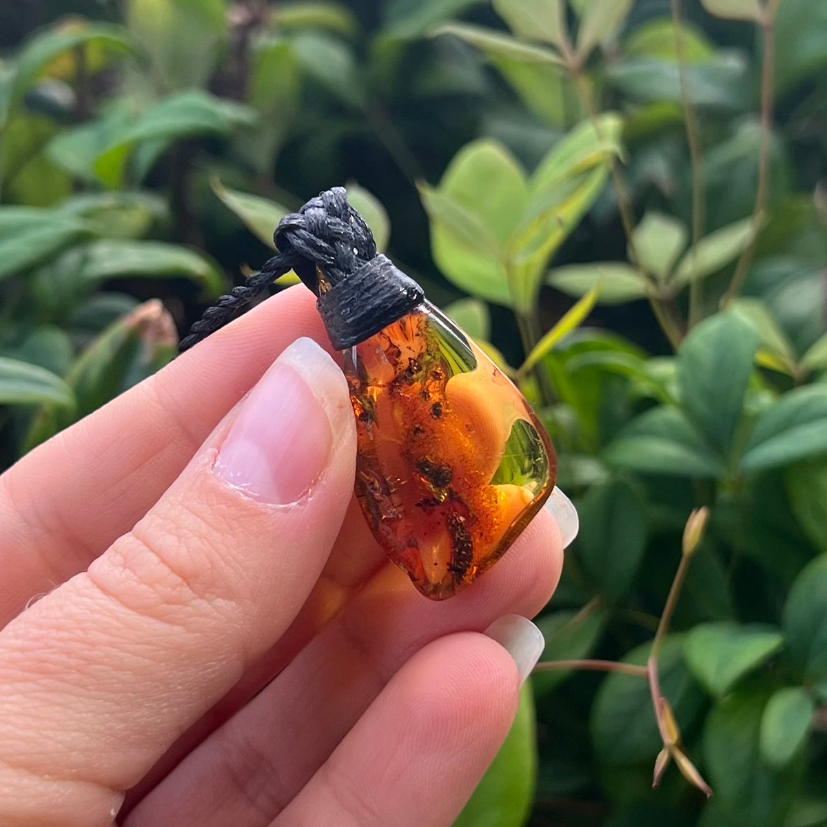 Muse Medicine - Baltic Amber ~ Talisman