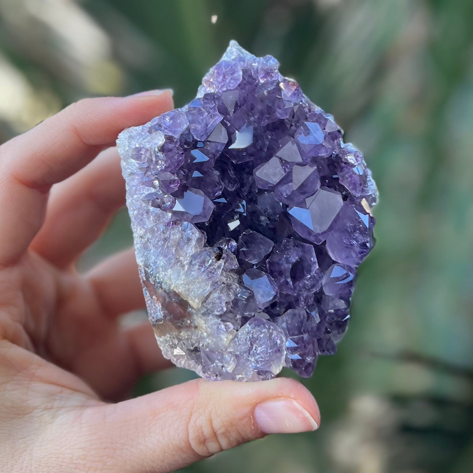 Amethyst Standing Cluster
