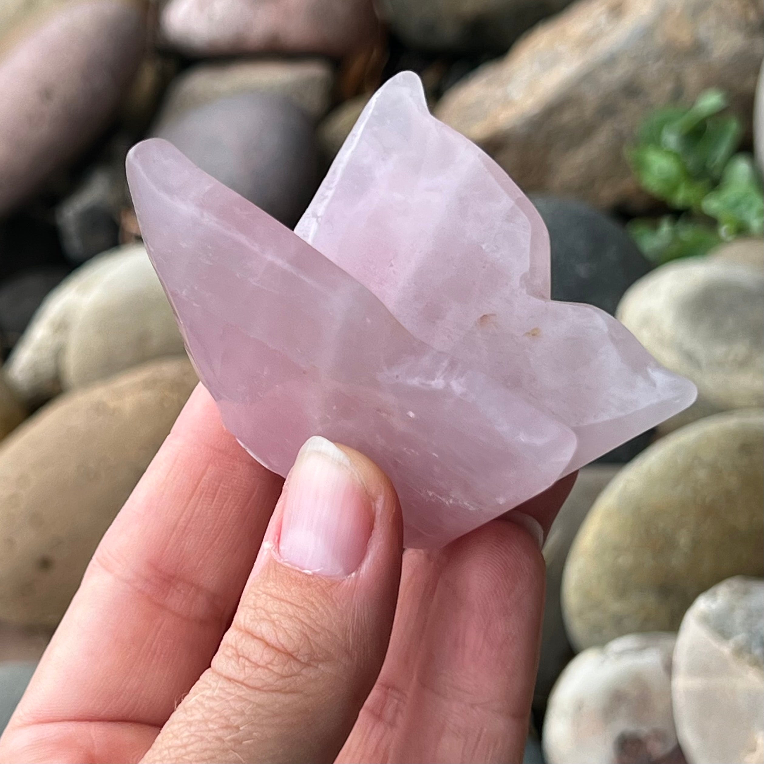 Rose Quartz Butterfly Carving
