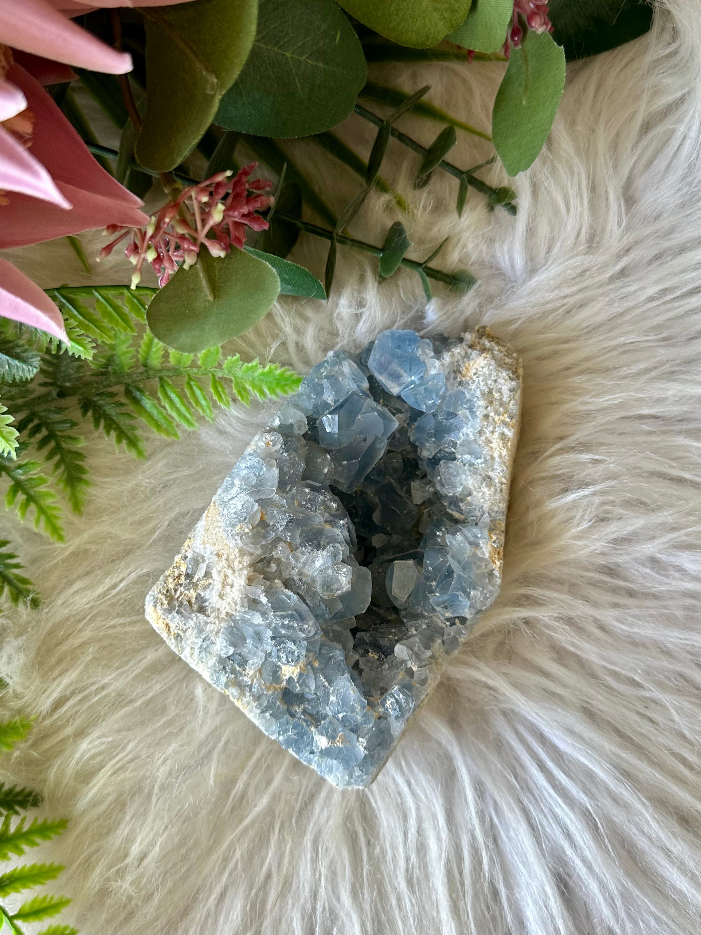 Celestite Standing Cave - Muse Crystals & Mystical Gifts