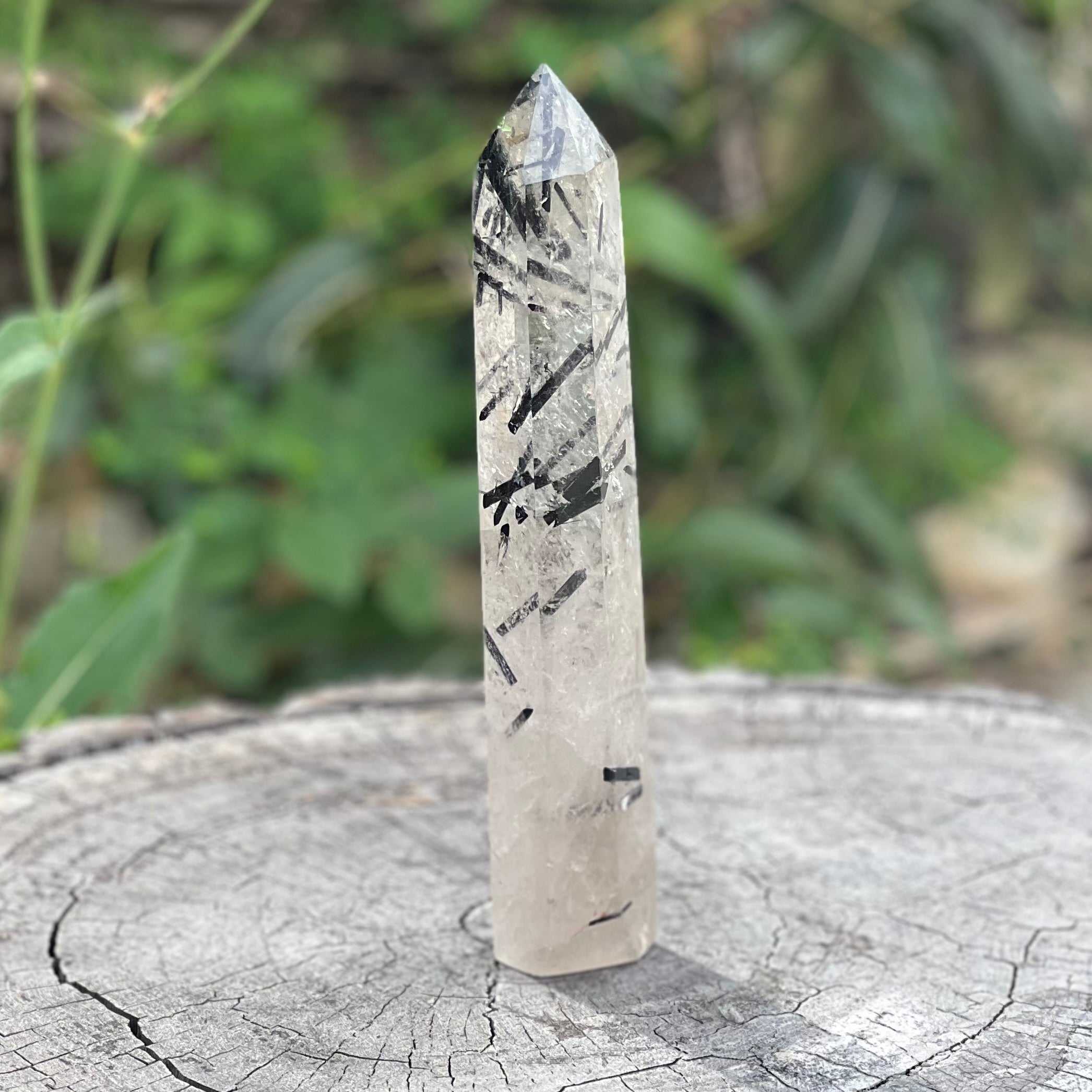 Black Tourmaline in Clear Protective Generator Quartz Tower