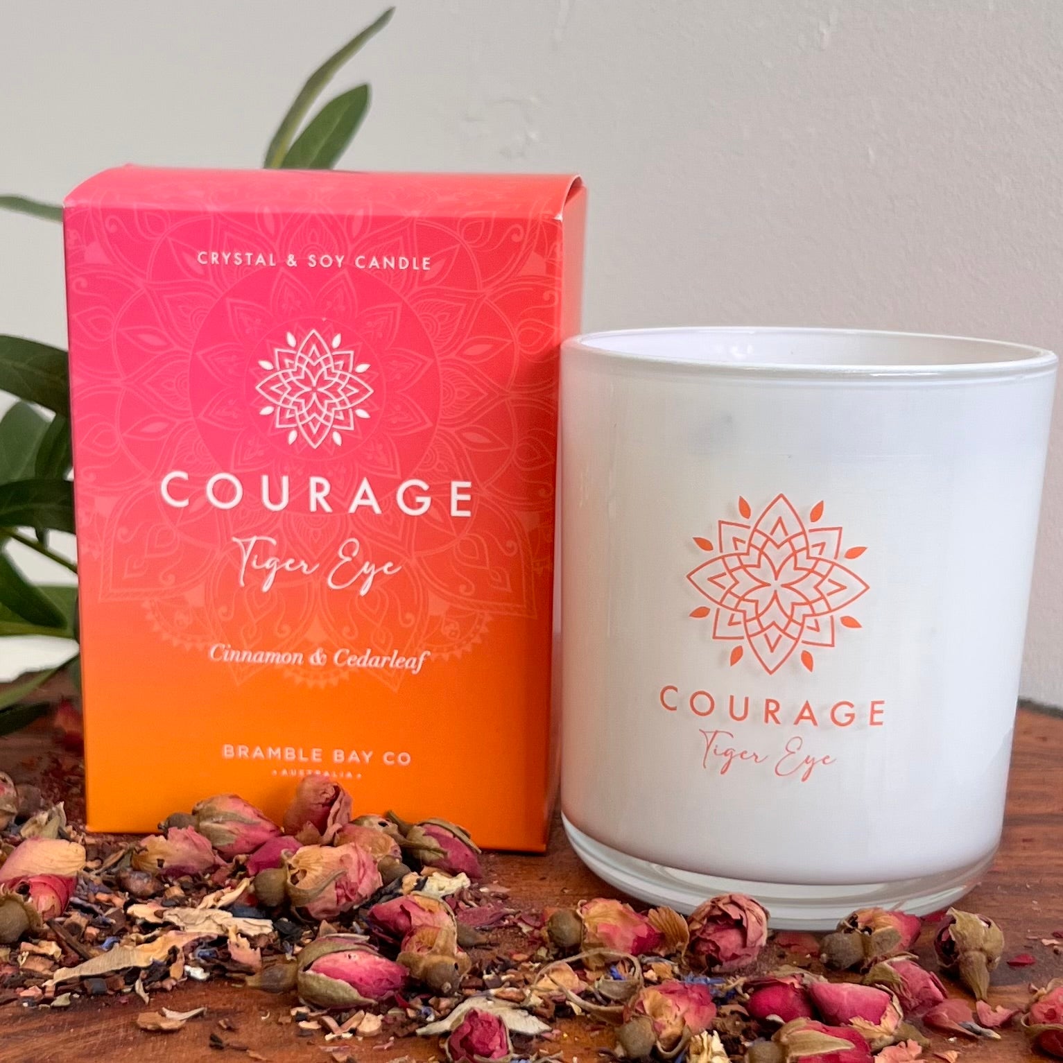 Boho Crystal Courage Candle ~ Tiger Eye ~ 
Cinnamon & Cedarleaf