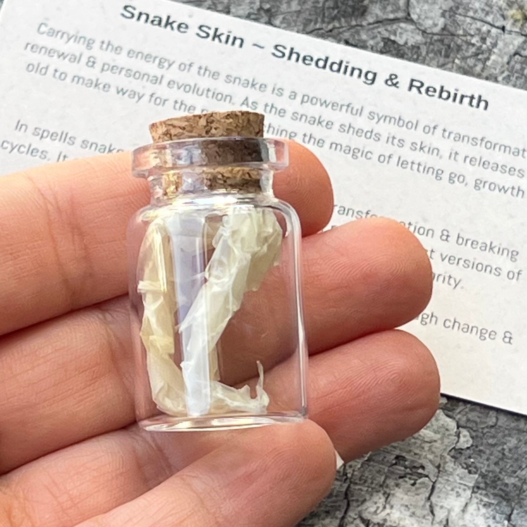 Snake Skin ~ Transformation and Protection