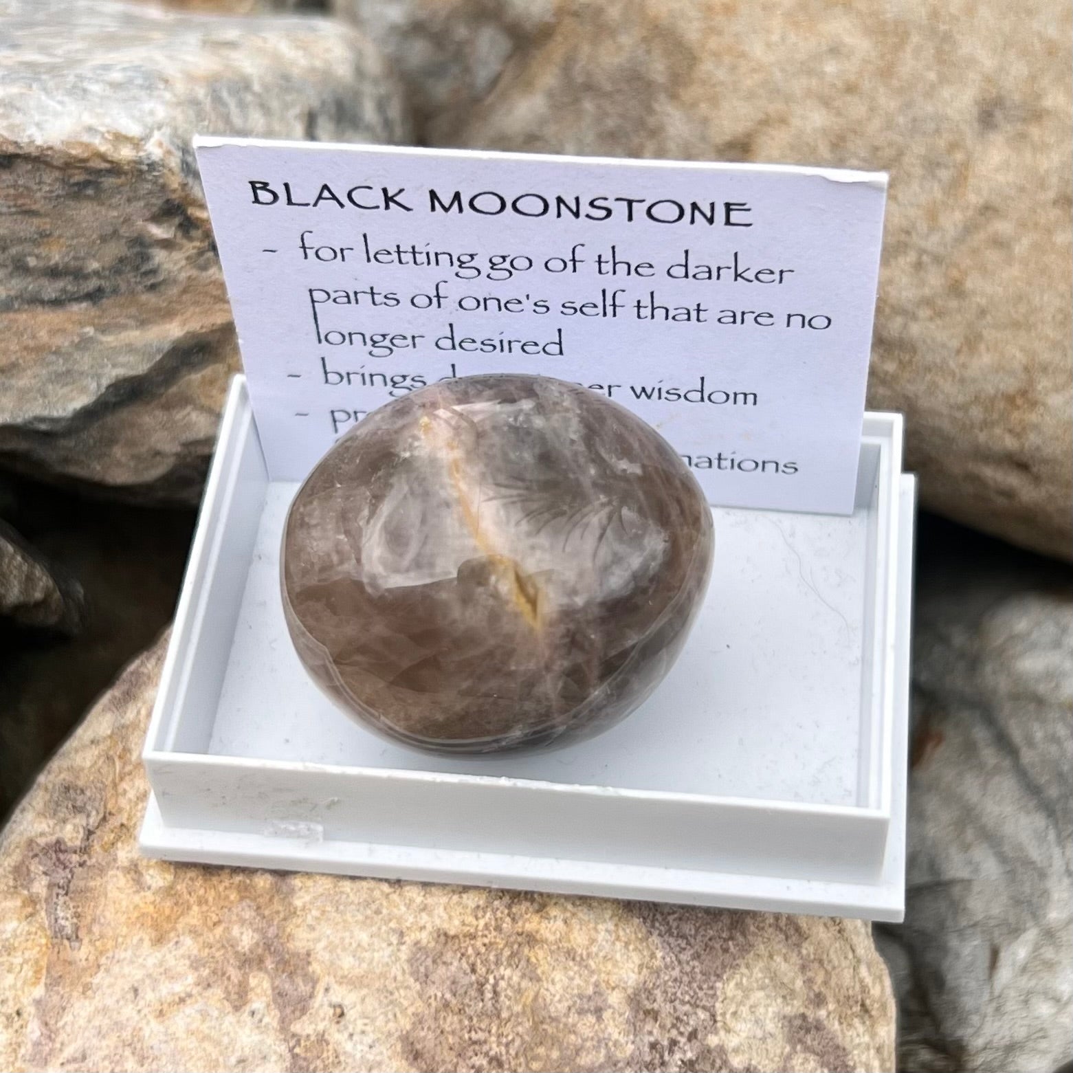 Black Moonstone ~ Specialty Boxed Crystal