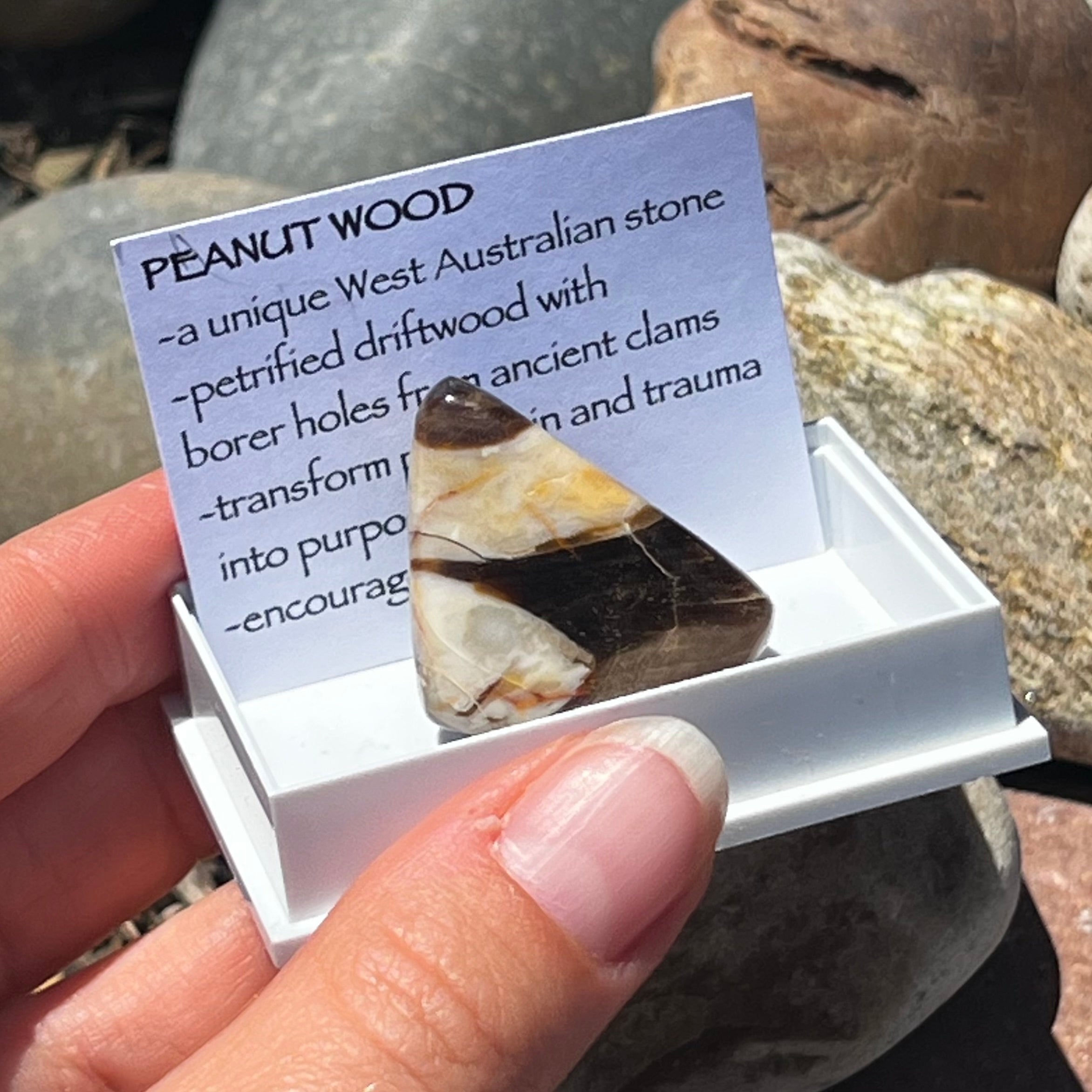Peanut Wood ~ Specialty Boxed Crystal