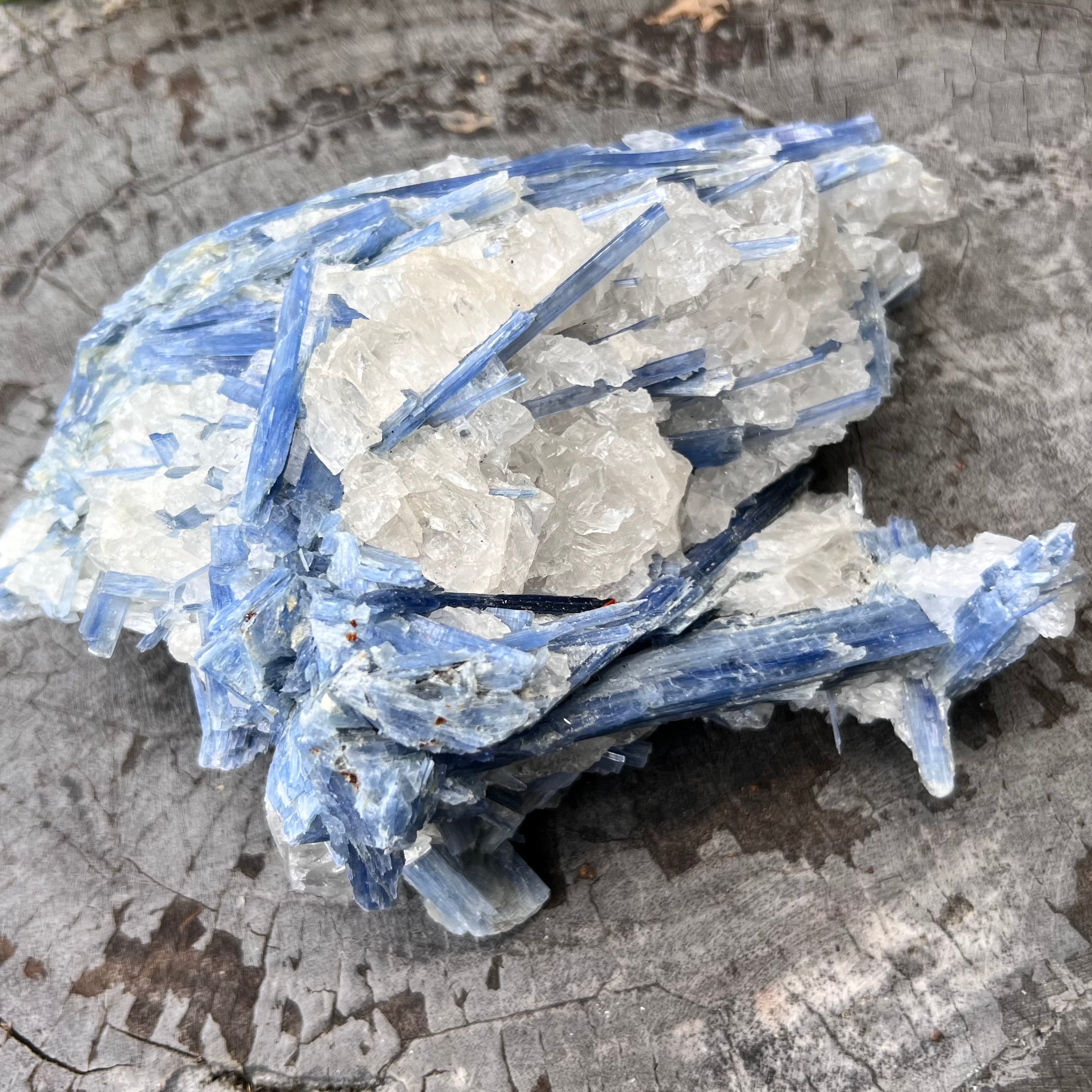 Natural Blue Kyanite with Quartz on Matrix