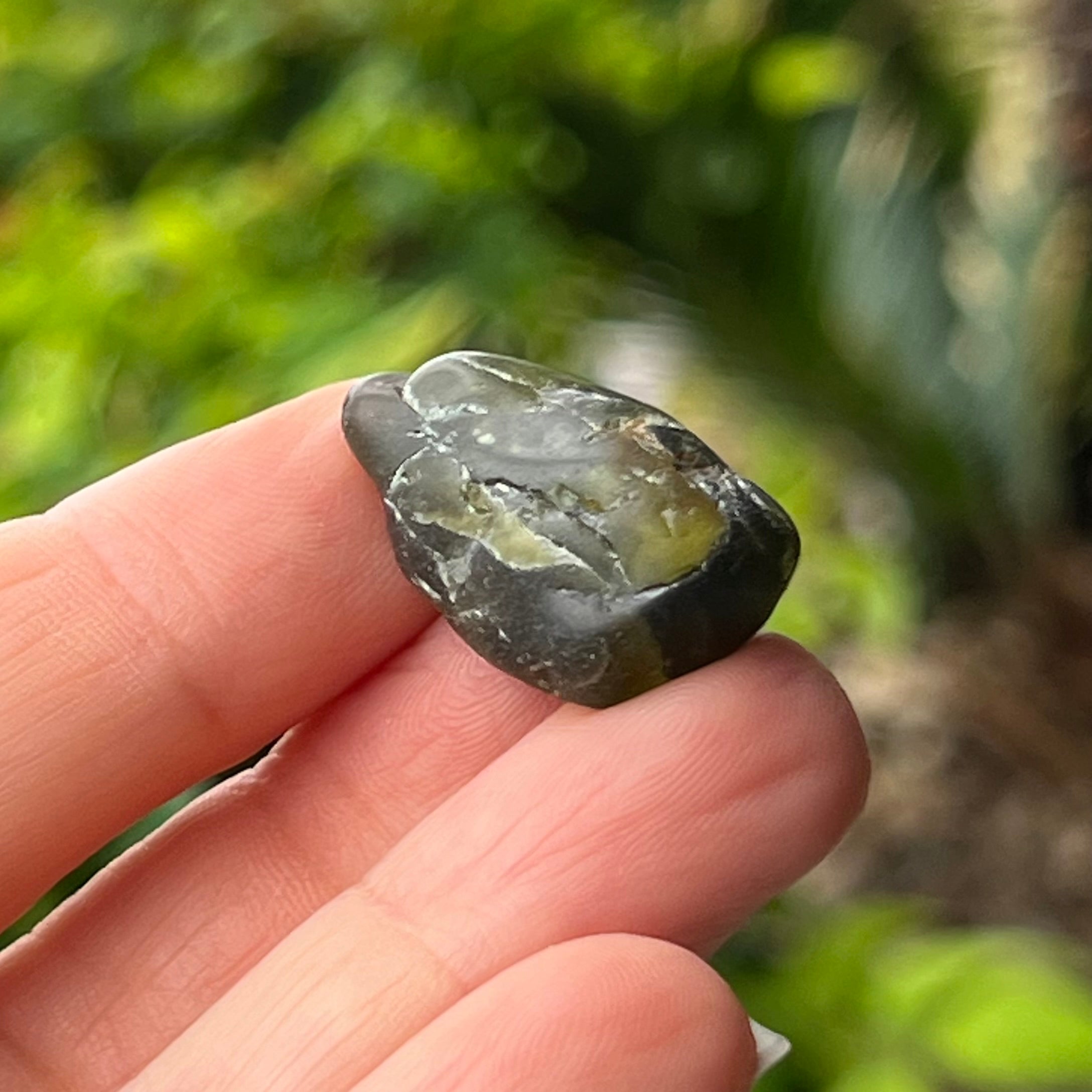 Peridot ~ Specialty Boxed Crystal