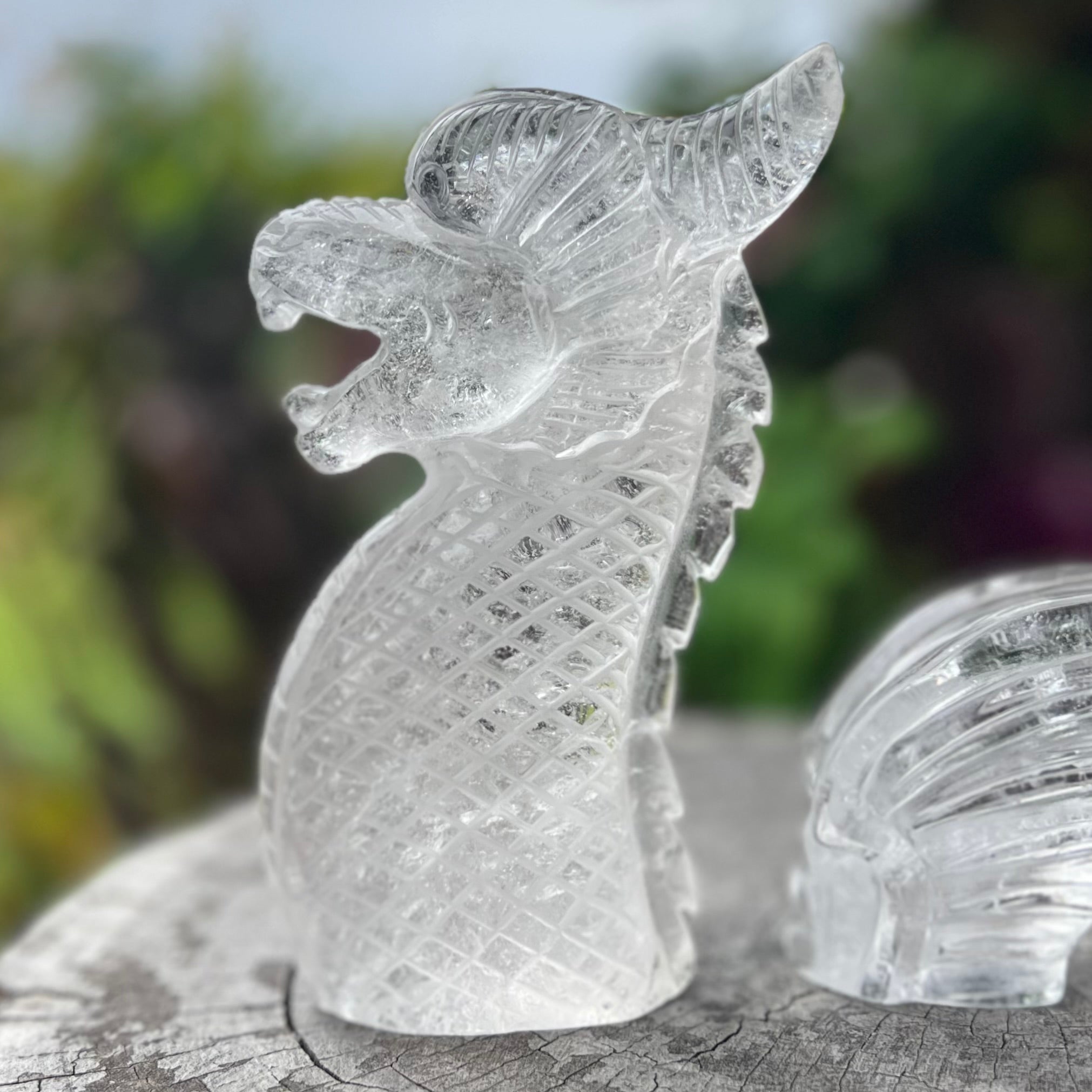 Clear Quartz Sea Dragon Carving ~ 3 Piece Set