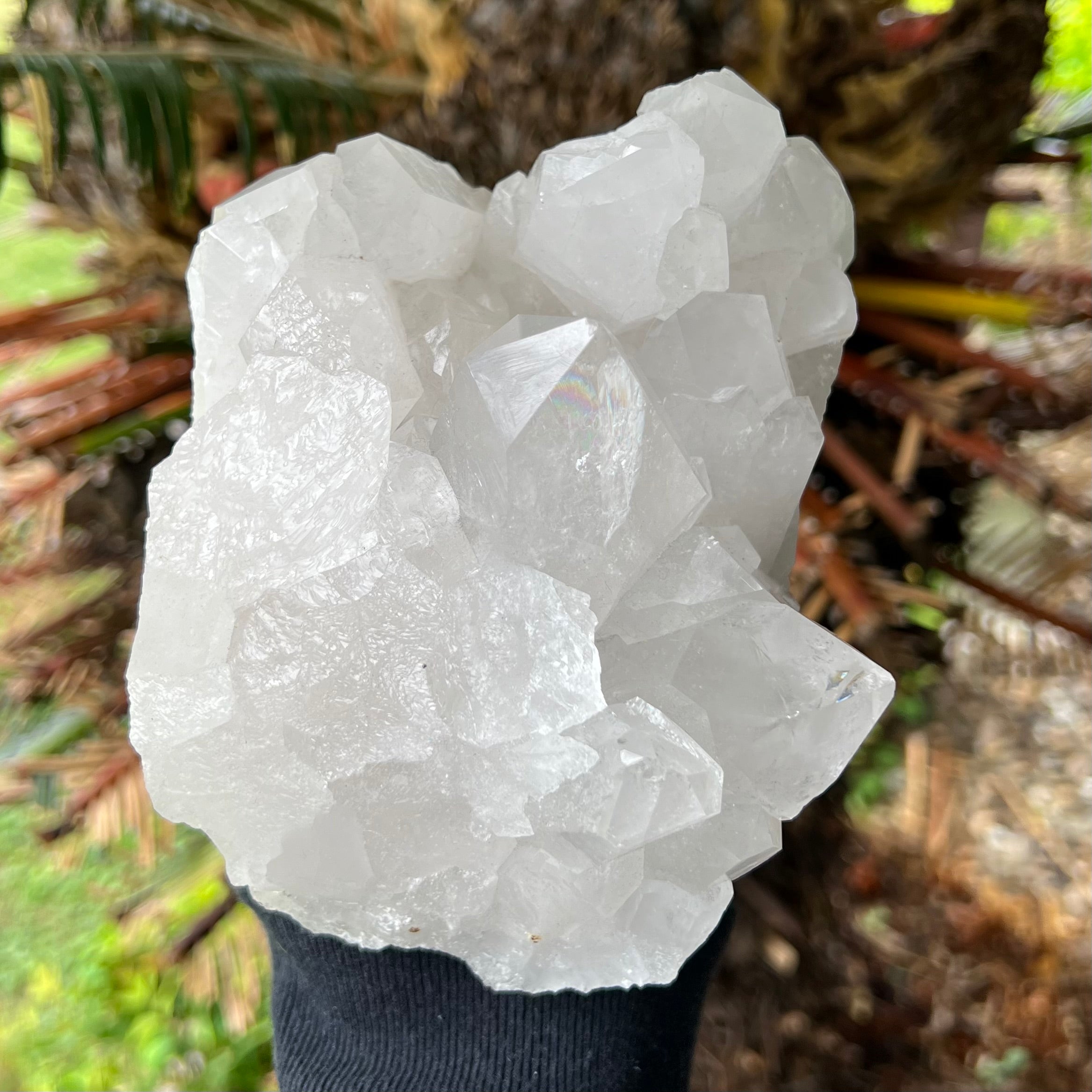 Clear Quartz Cluster