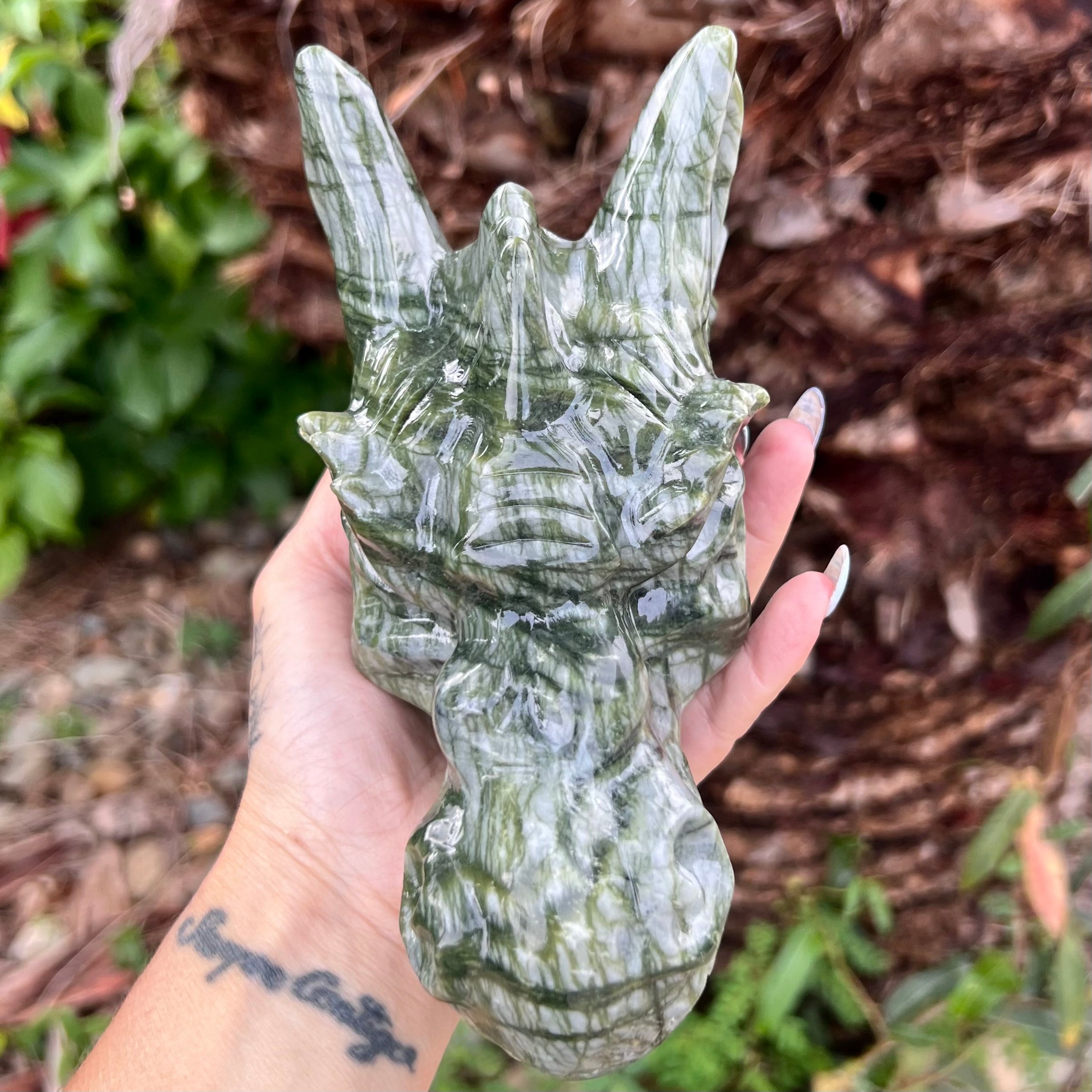 Afghanistan Jade ~ Dragon Head