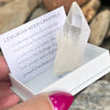 Raw Lumerian Seed Specimen~ Specialty Boxed Crystal