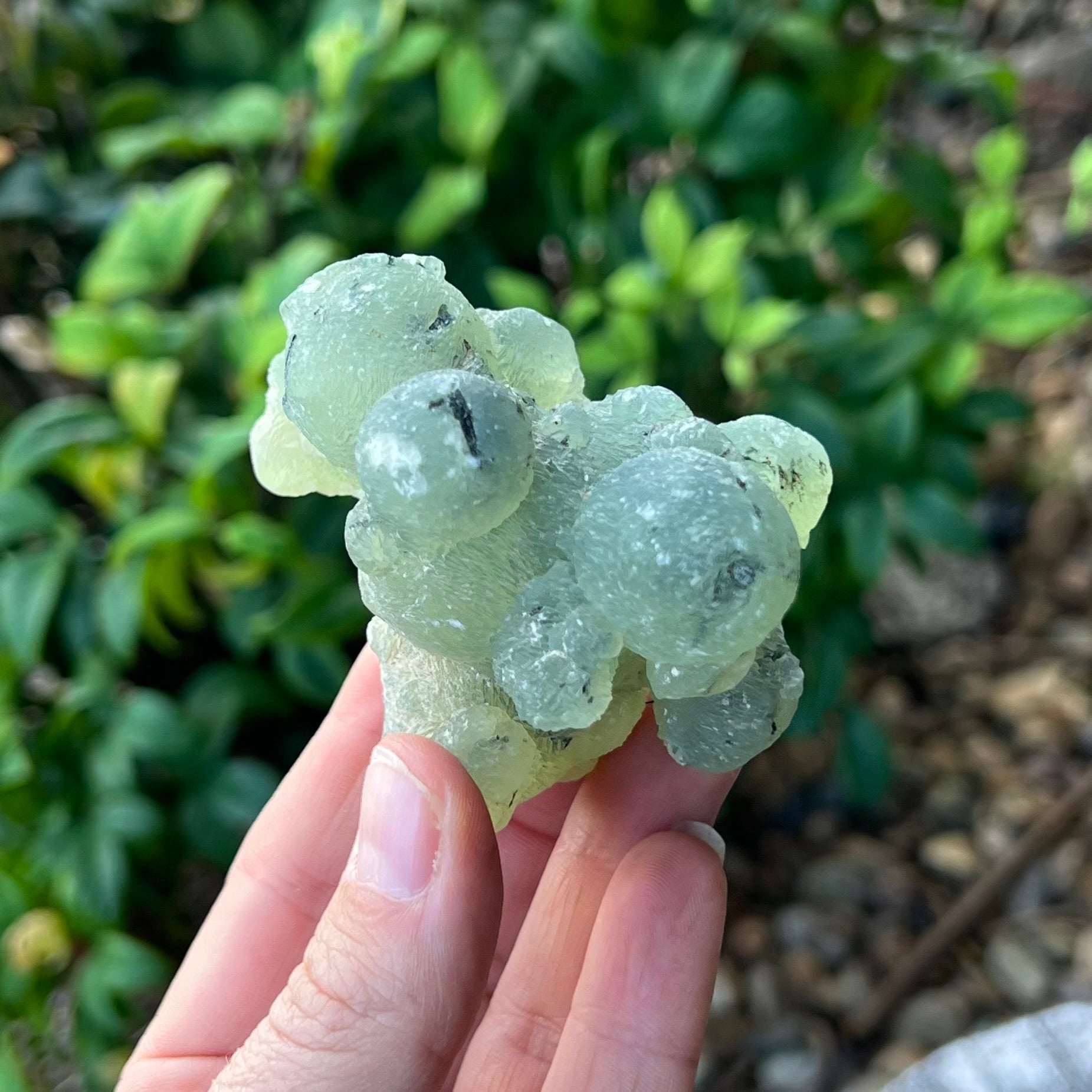 Prehnite ~ Specialty Crystal