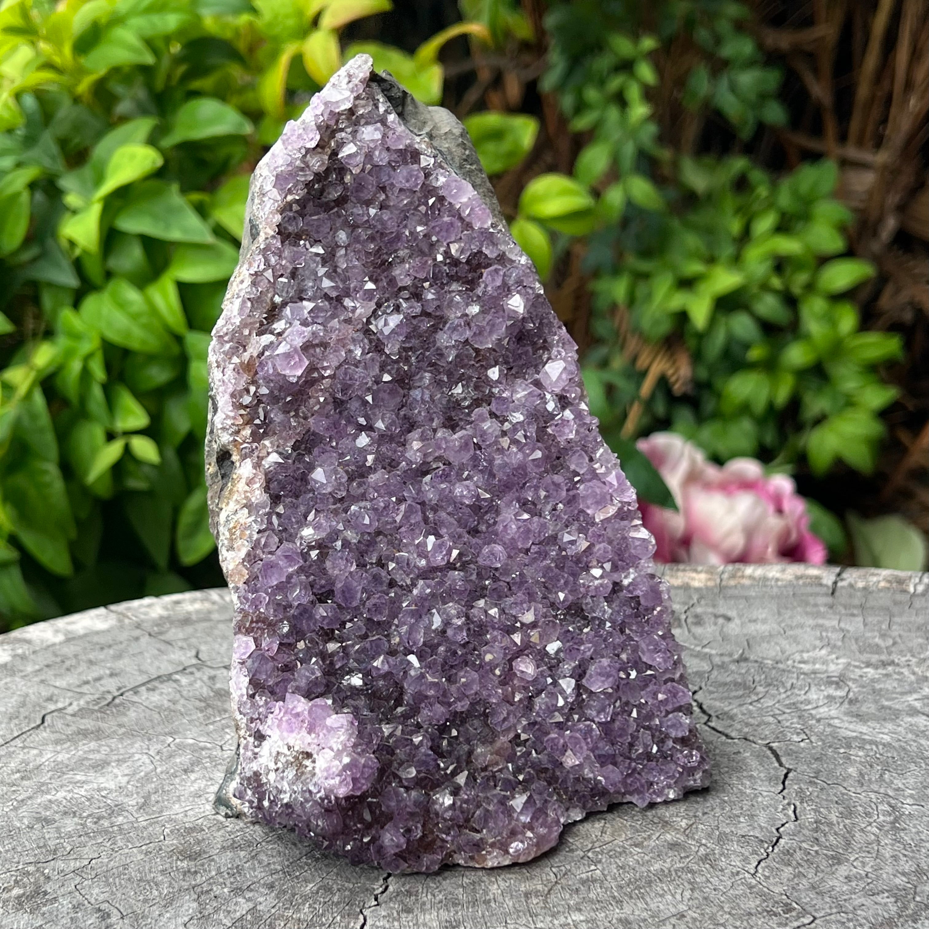 Amethyst Cluster