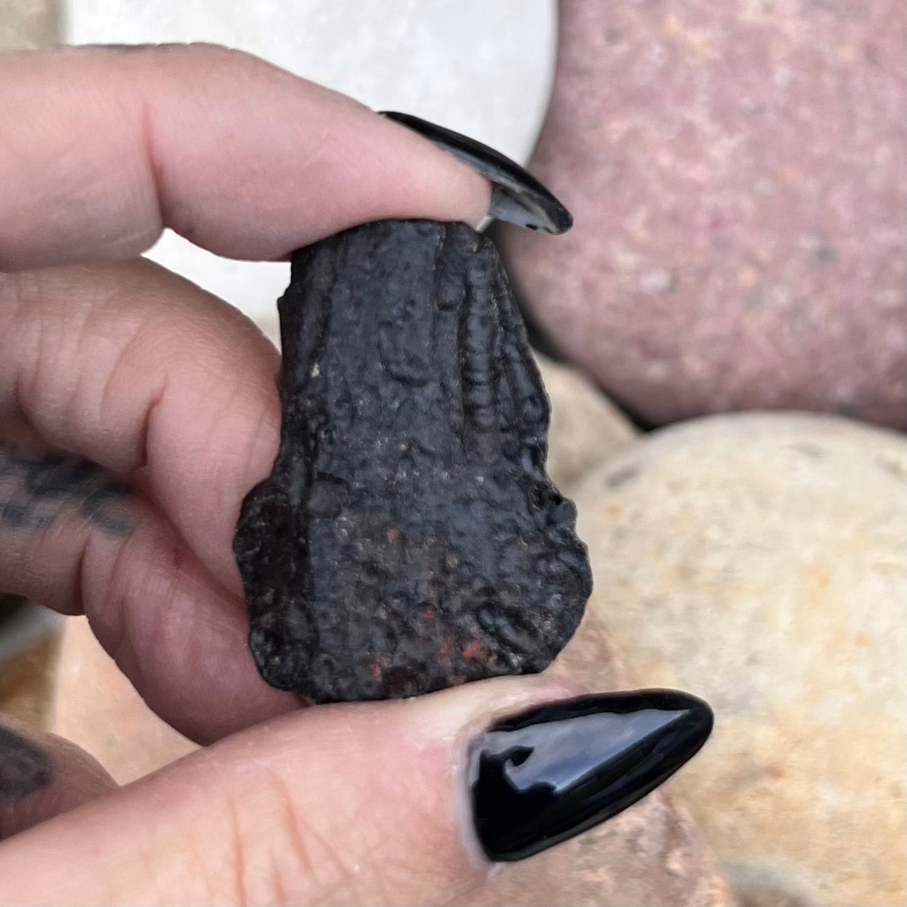 Tektite Specimen