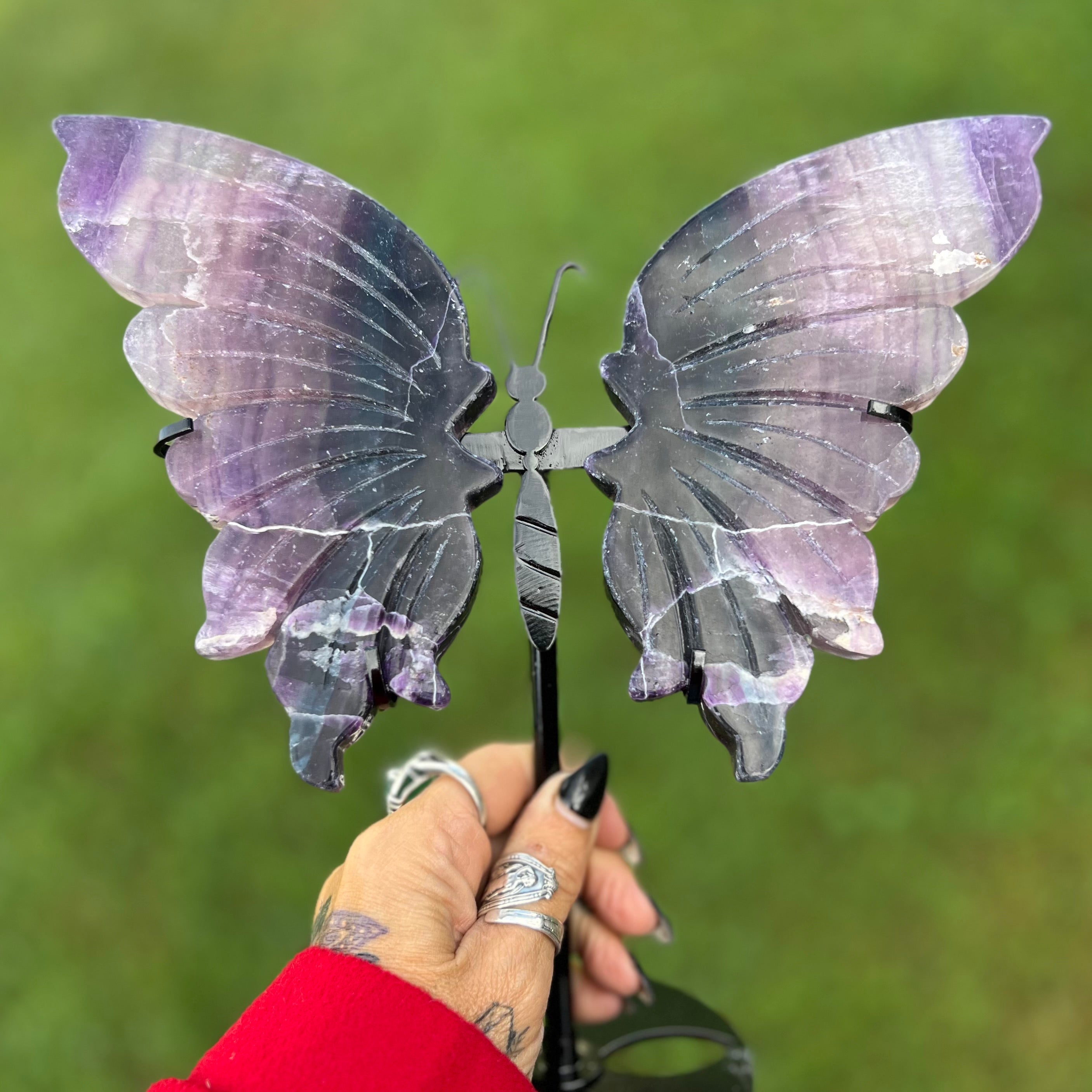 Fluorite Butterfly Wings