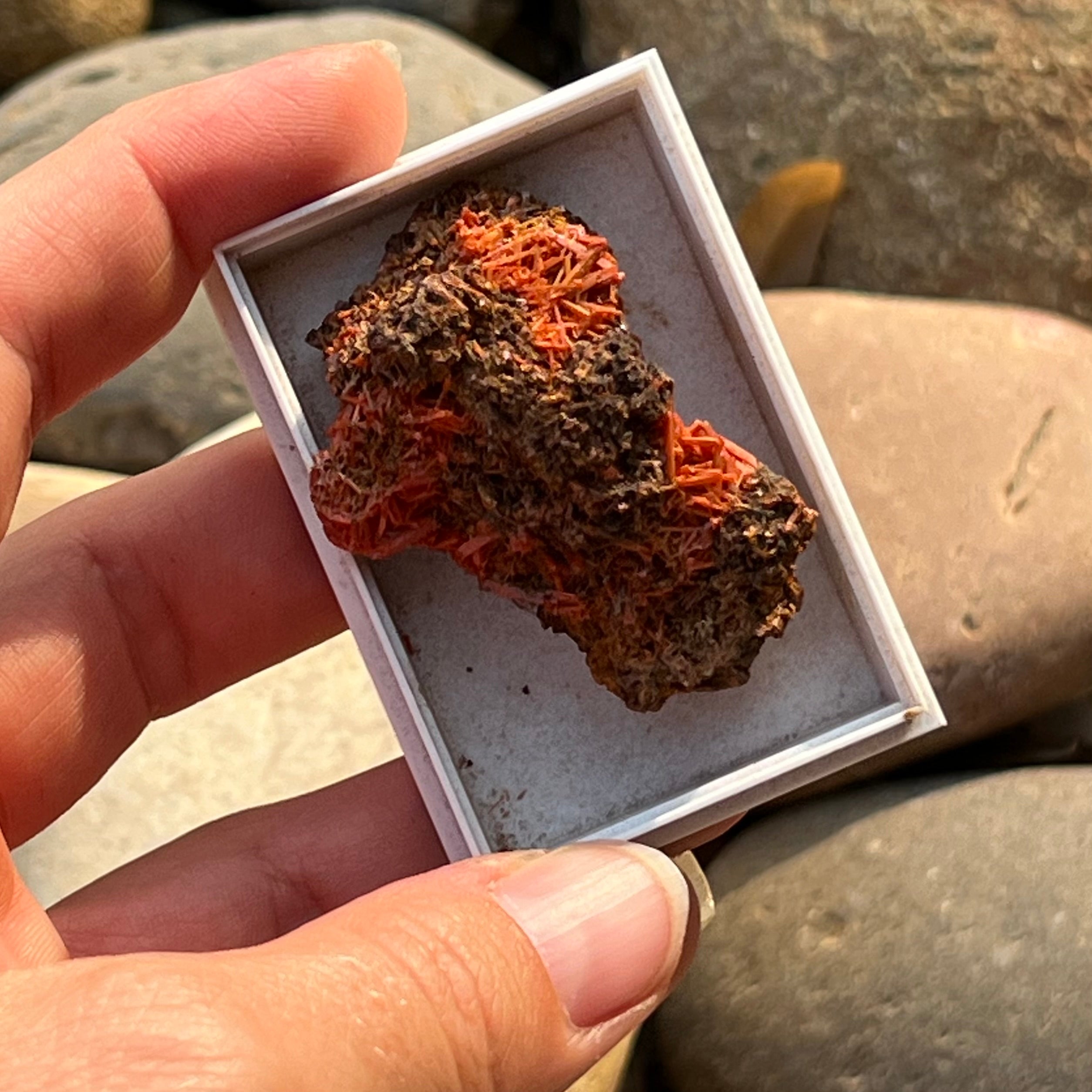 Crocoite Specimen ~ Specialty Crystal