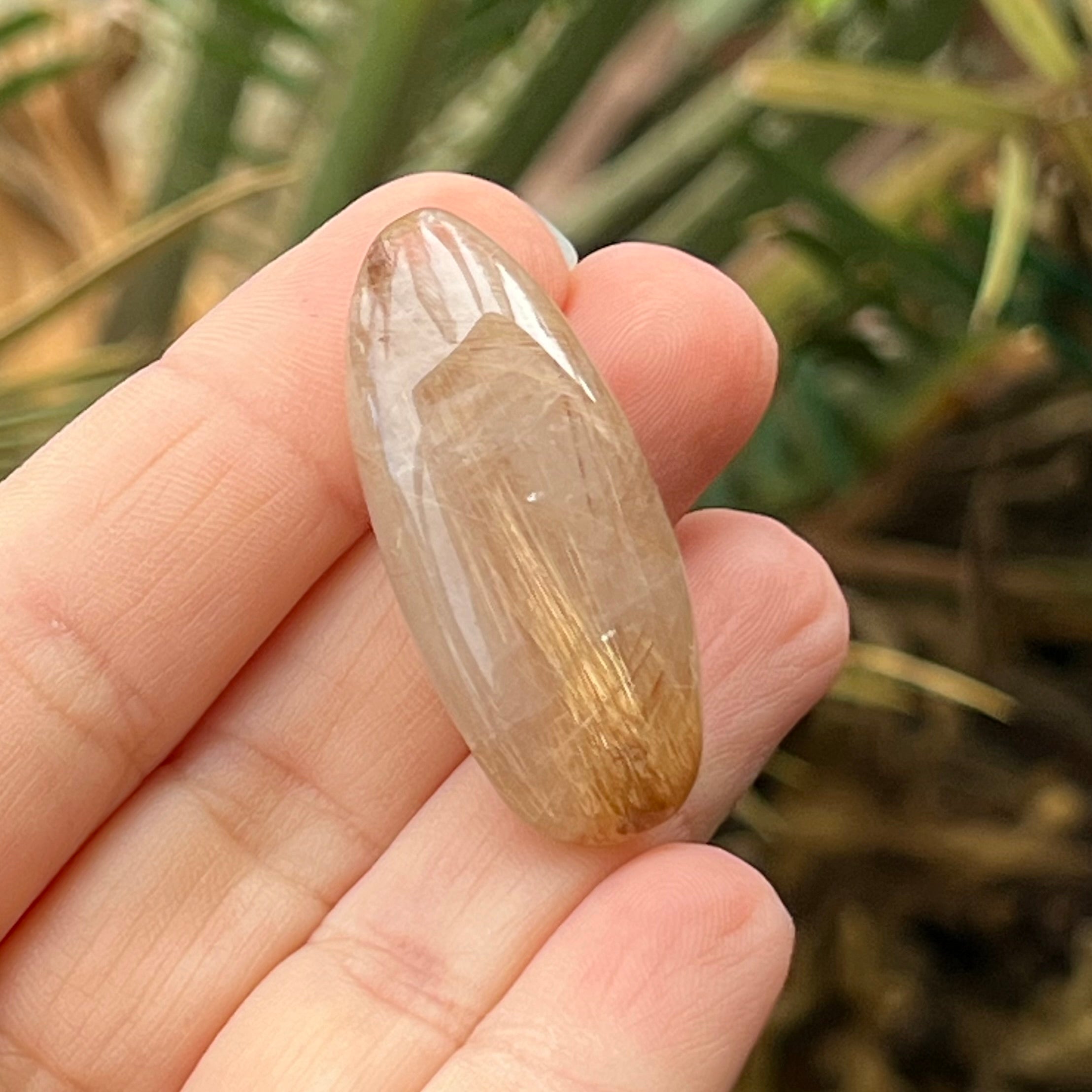 Rutilated Quartz ~ Rare Specialty Crystal