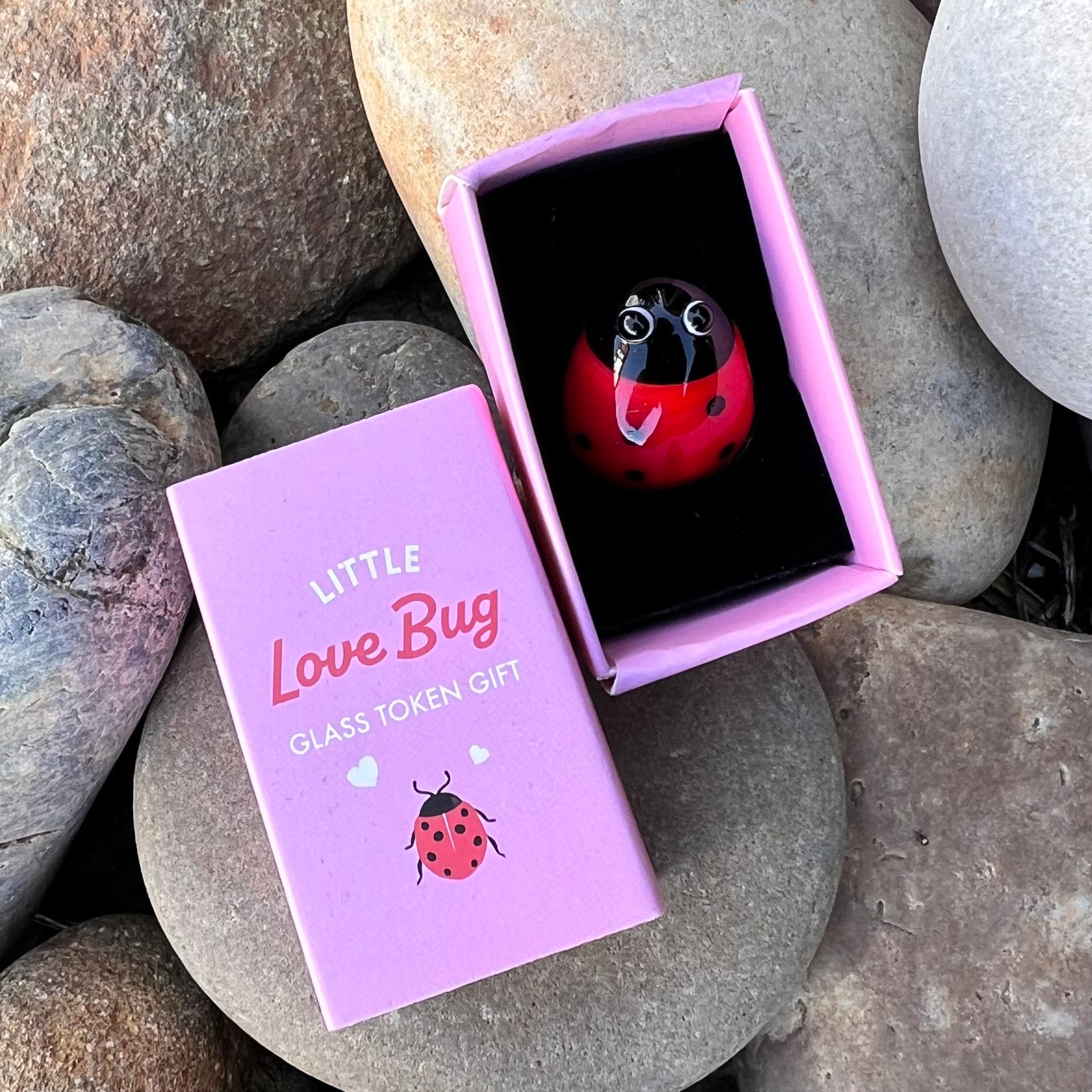 Little Love Bug ~ In Box